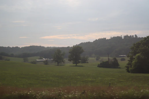 A serene rural landscape showing well-maintained farmland and rustic buildings under a bright sky.