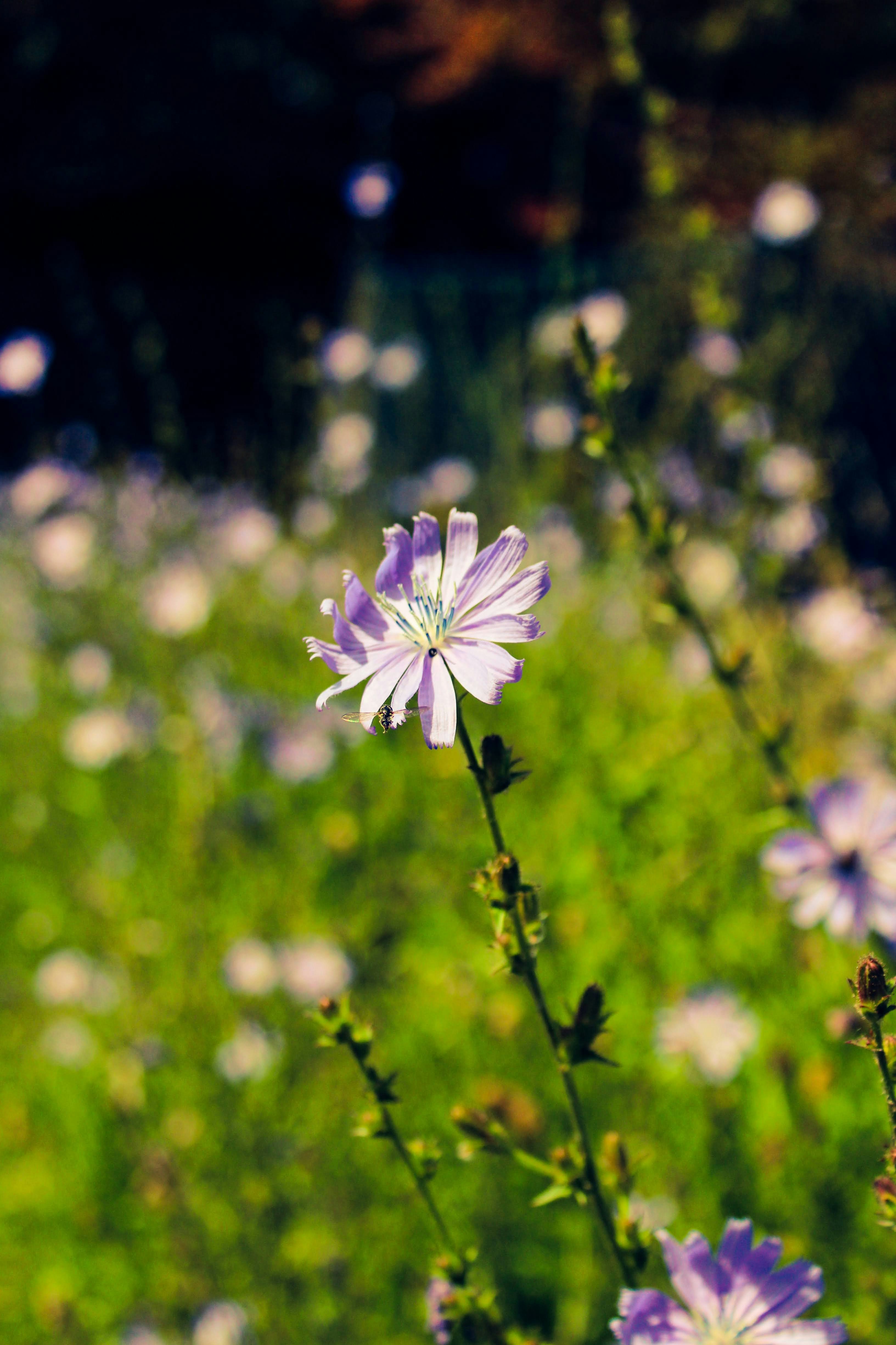 Photo by balesphotographyco