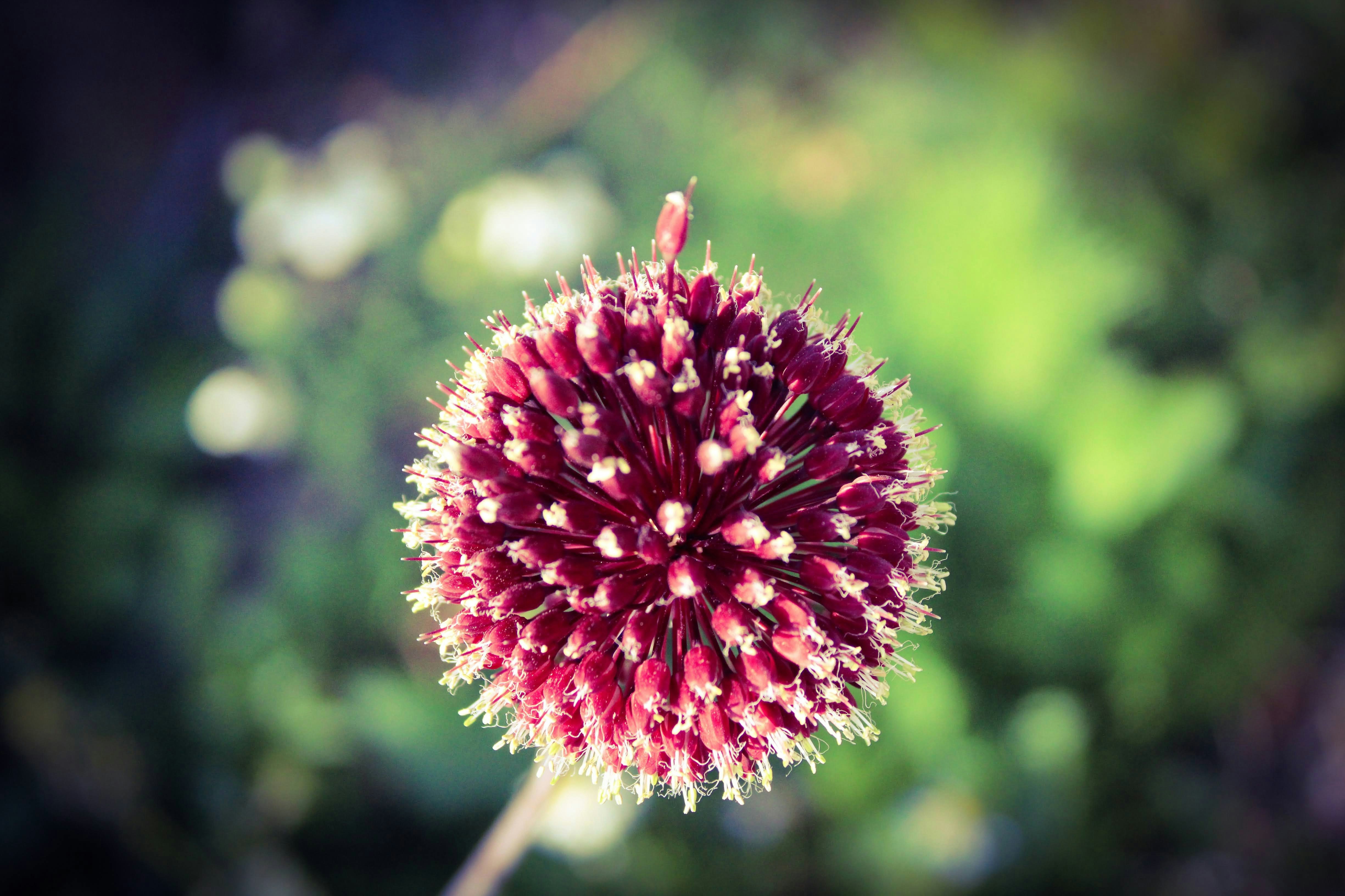 Photo by balesphotographyco