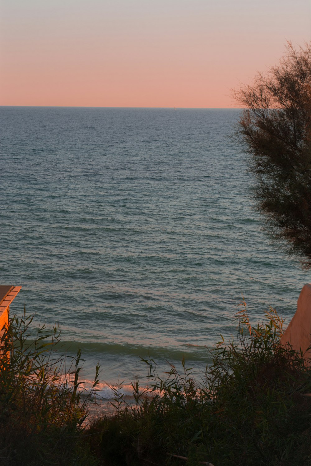 a body of water with trees and a pink sky