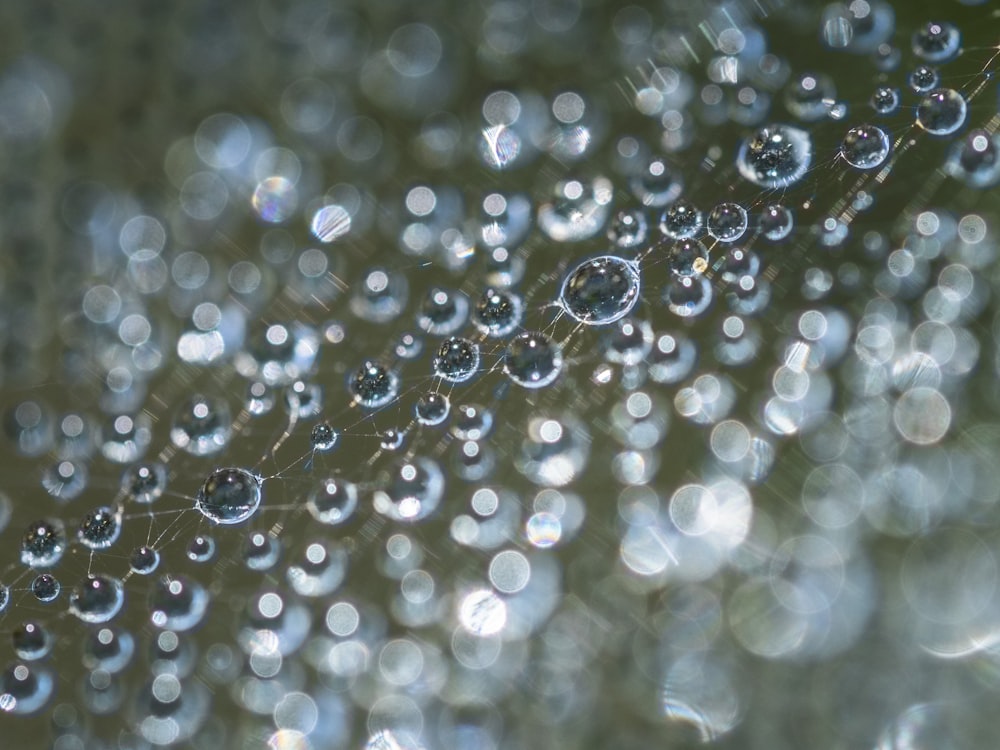 water droplets on a surface