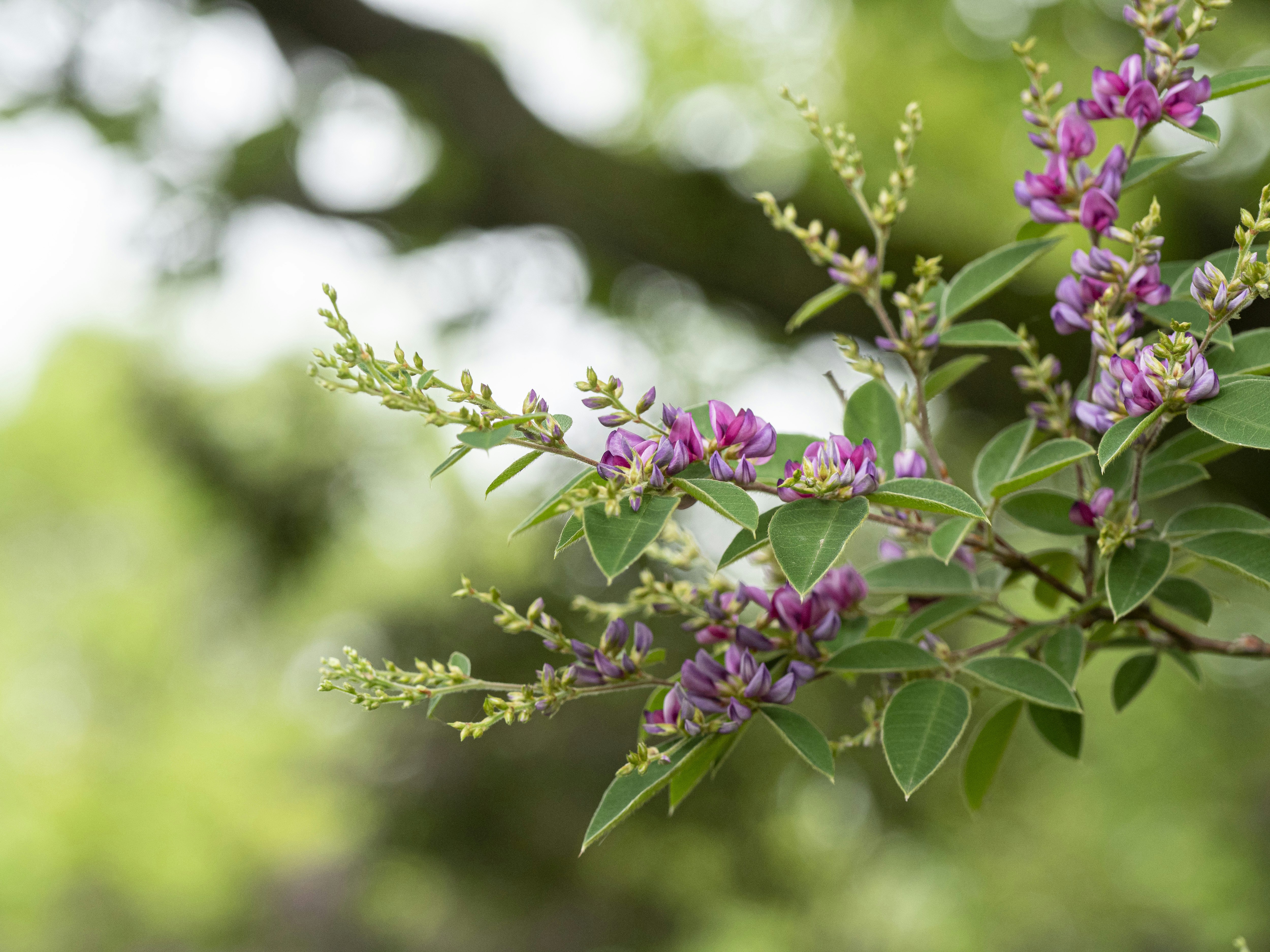 Photo by morningdew_work