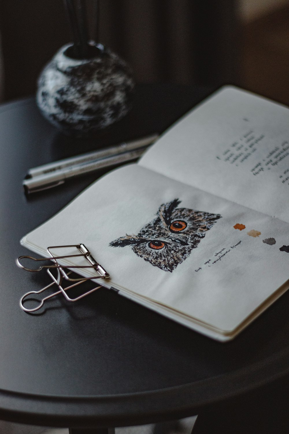 a drawing of a bird on a book
