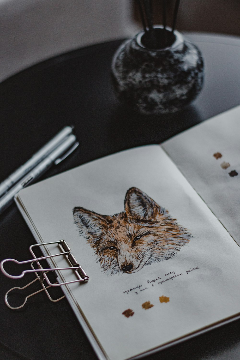 a cat lying on a book