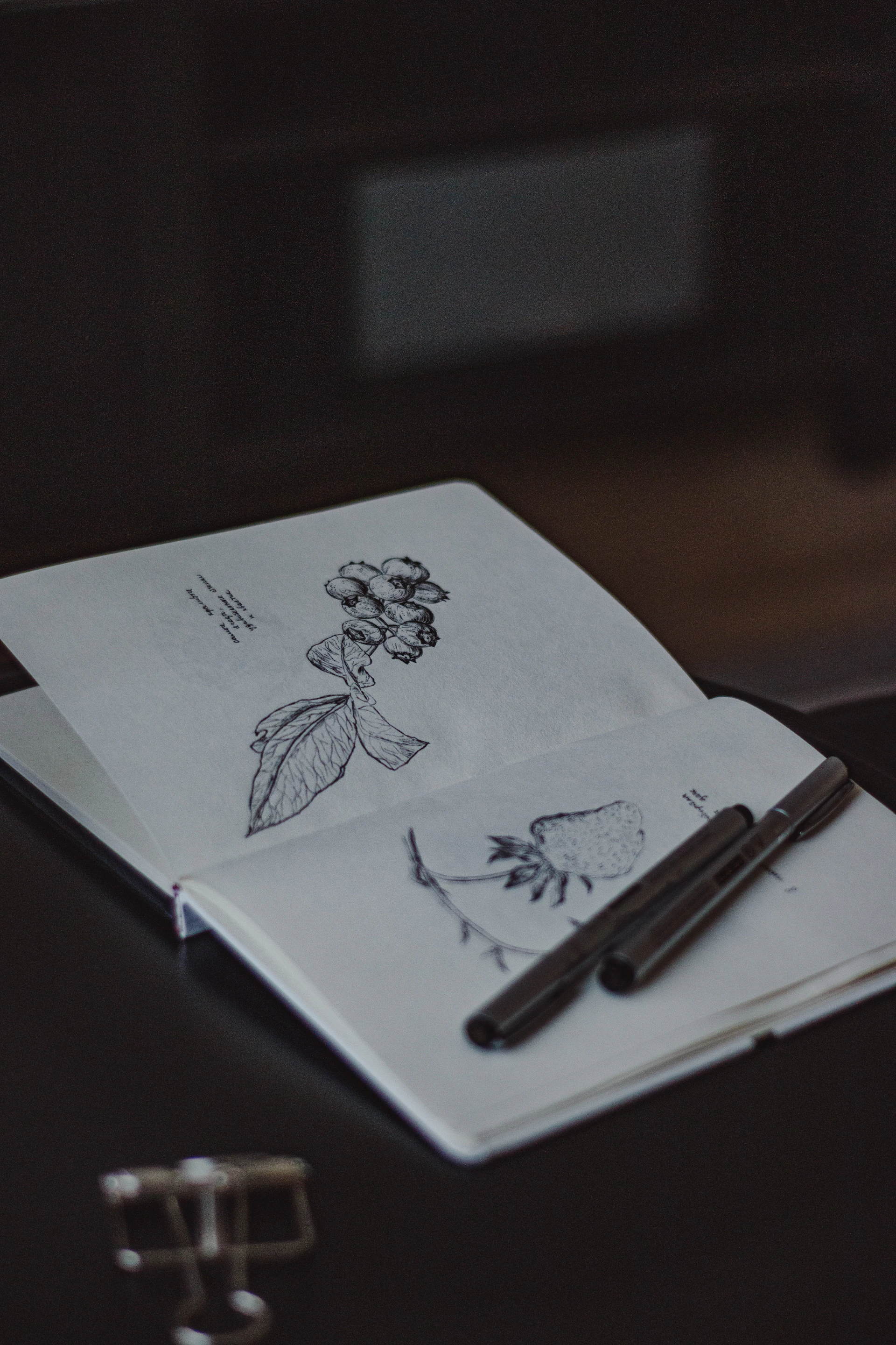 a drawing on a piece of paper