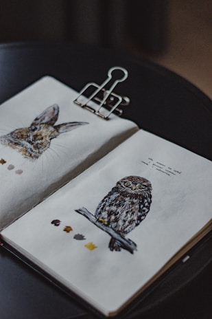 An open sketchbook rests on a dark surface, displaying detailed illustrations of a rabbit on the left page and an owl perched on a branch on the right page. The sketchbook is held open by a large metallic clip. Small color swatches are visible beneath each illustration, suggesting a focus on texture and detail.