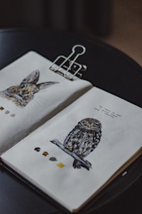 An open sketchbook rests on a dark surface, displaying detailed illustrations of a rabbit on the left page and an owl perched on a branch on the right page. The sketchbook is held open by a large metallic clip. Small color swatches are visible beneath each illustration, suggesting a focus on texture and detail.