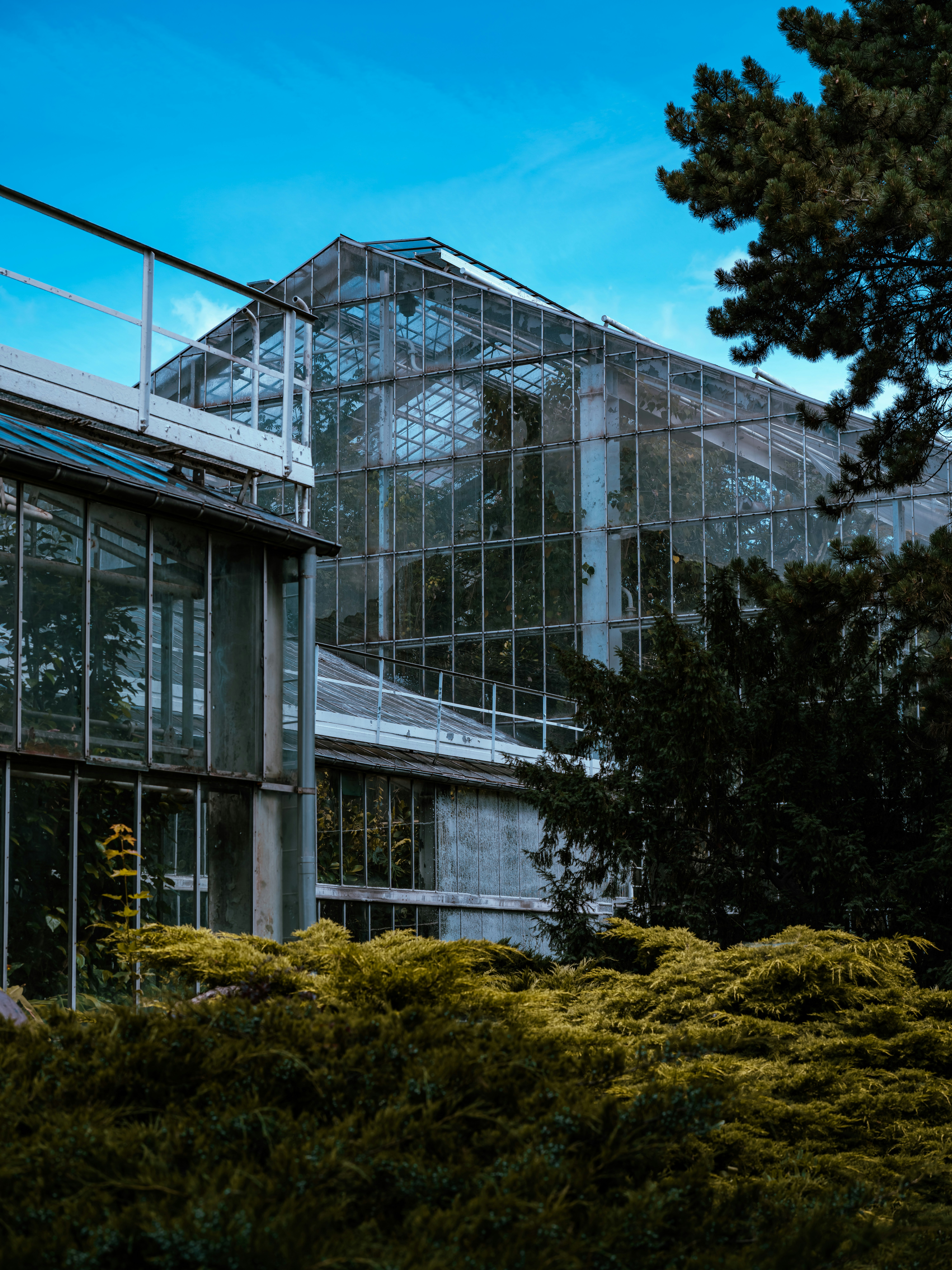 Photo by egorkomarov