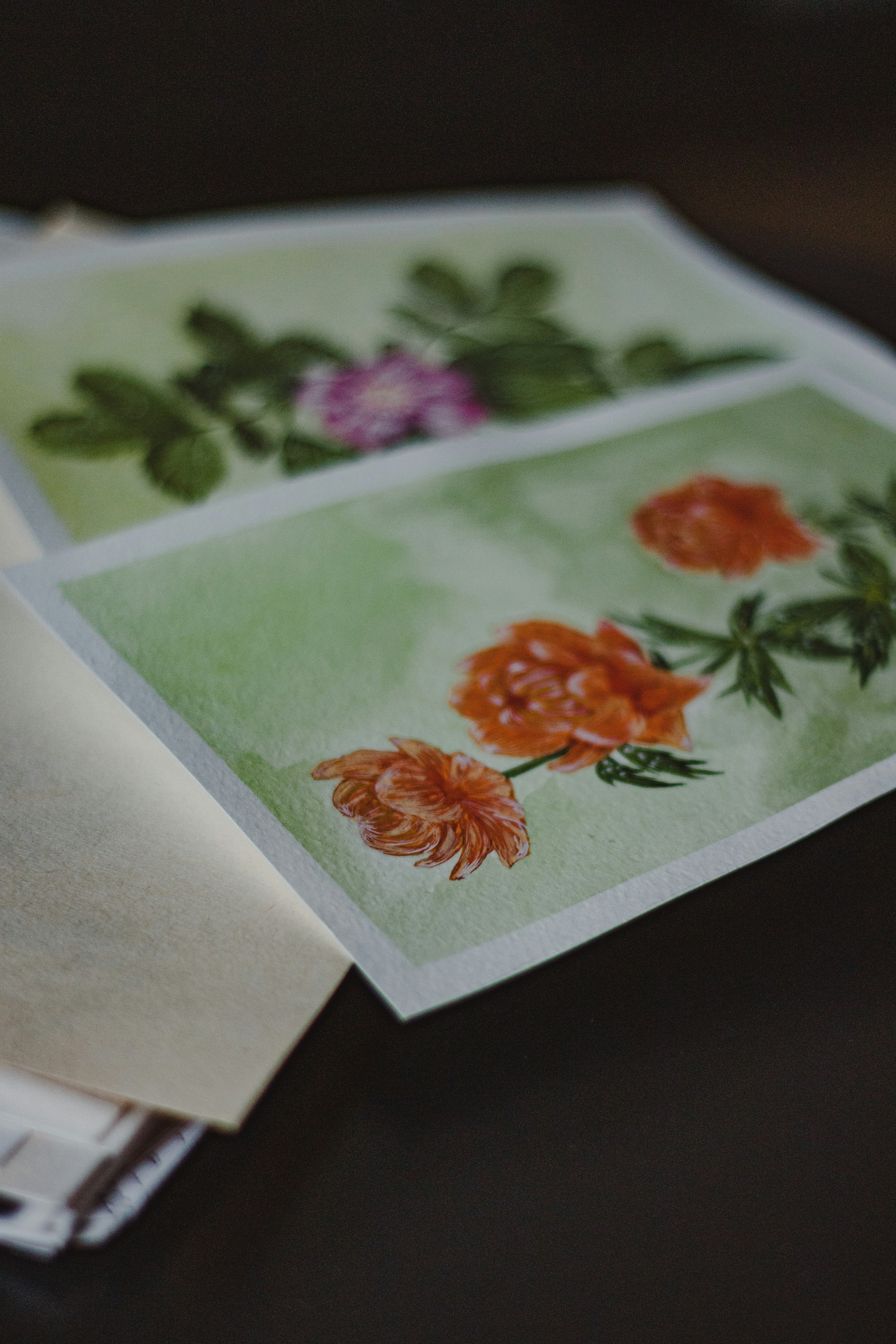 Vintage Botanical Sketch