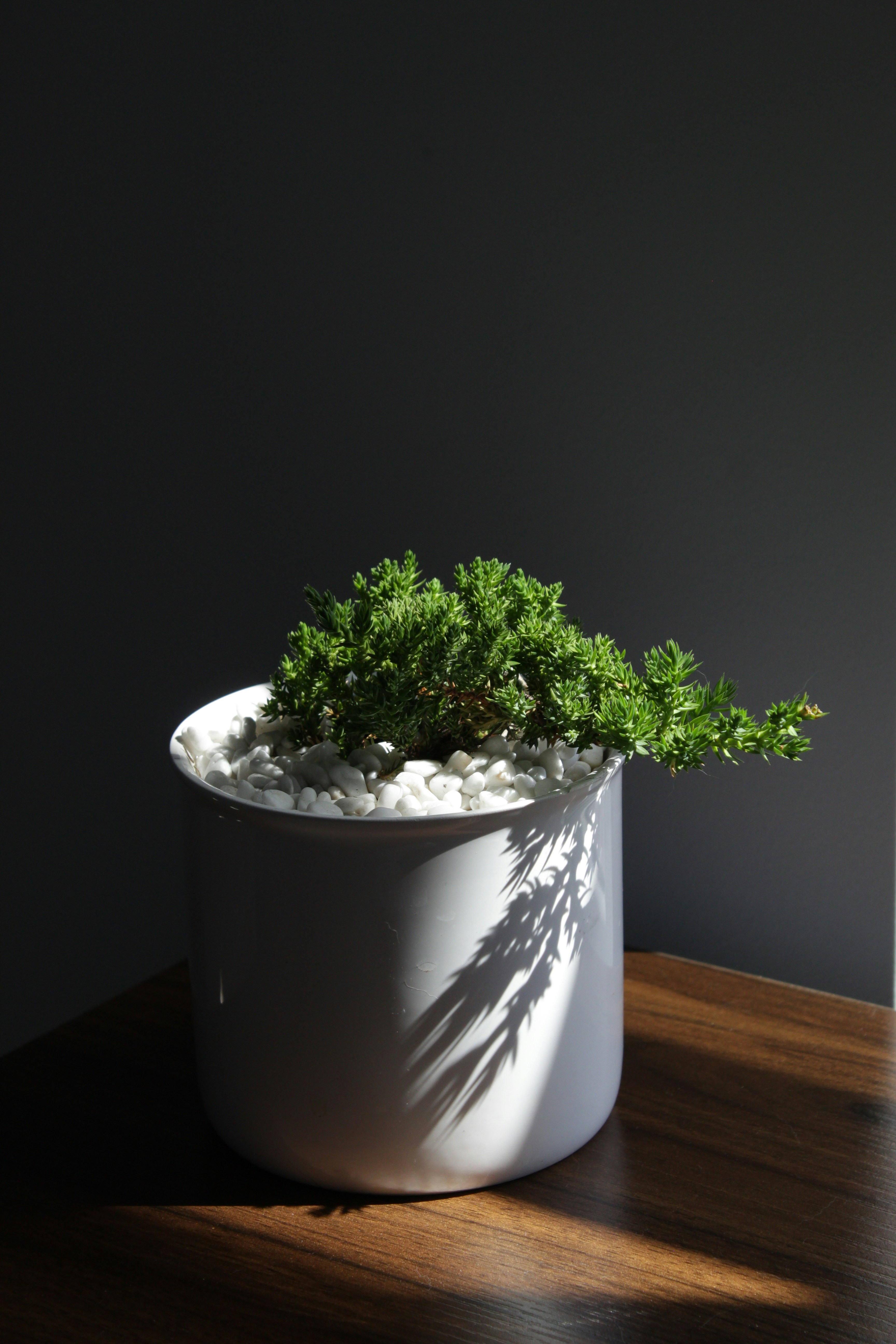 Recipiente artesanal único