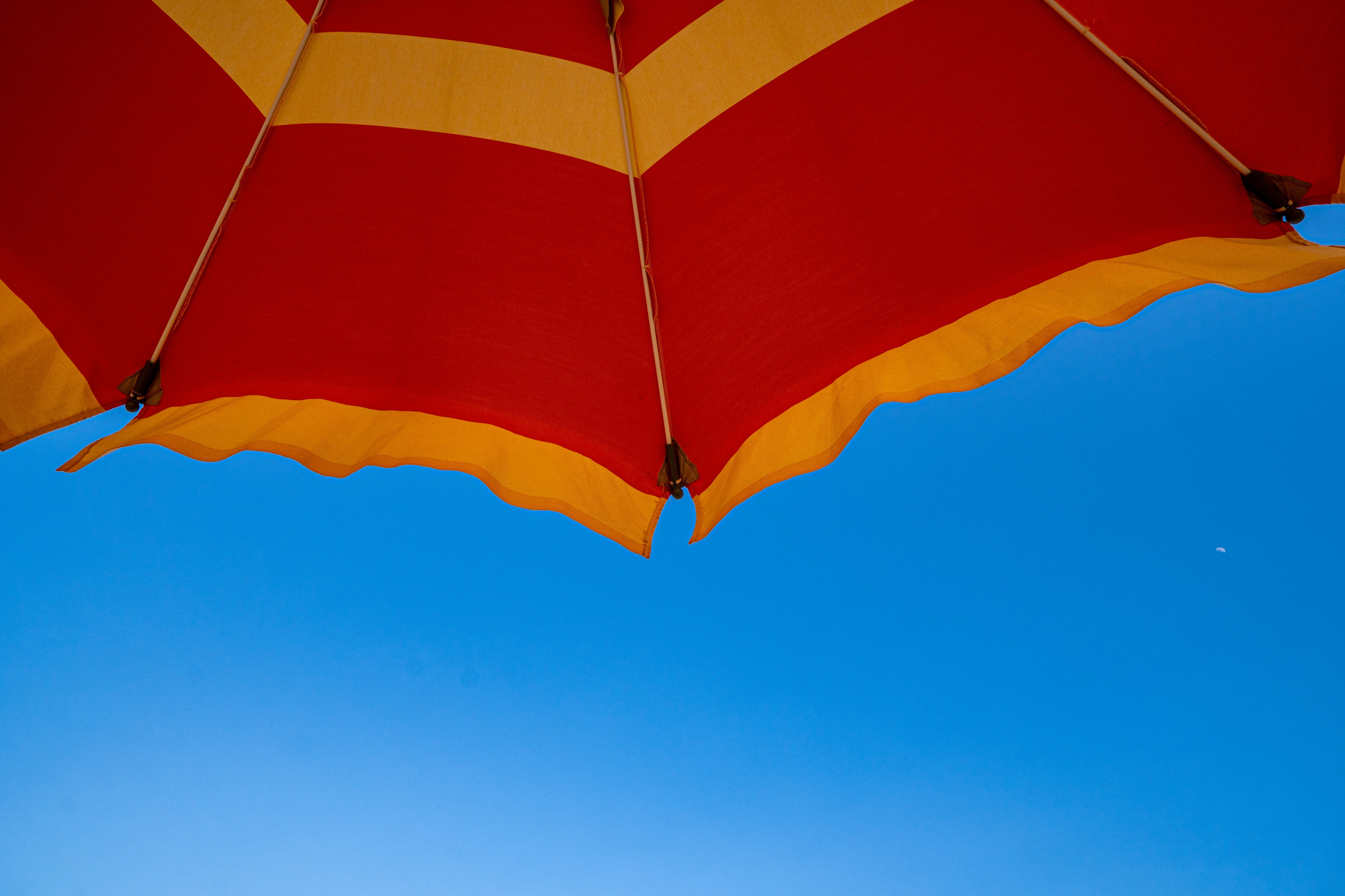 Photo by marcoangelo