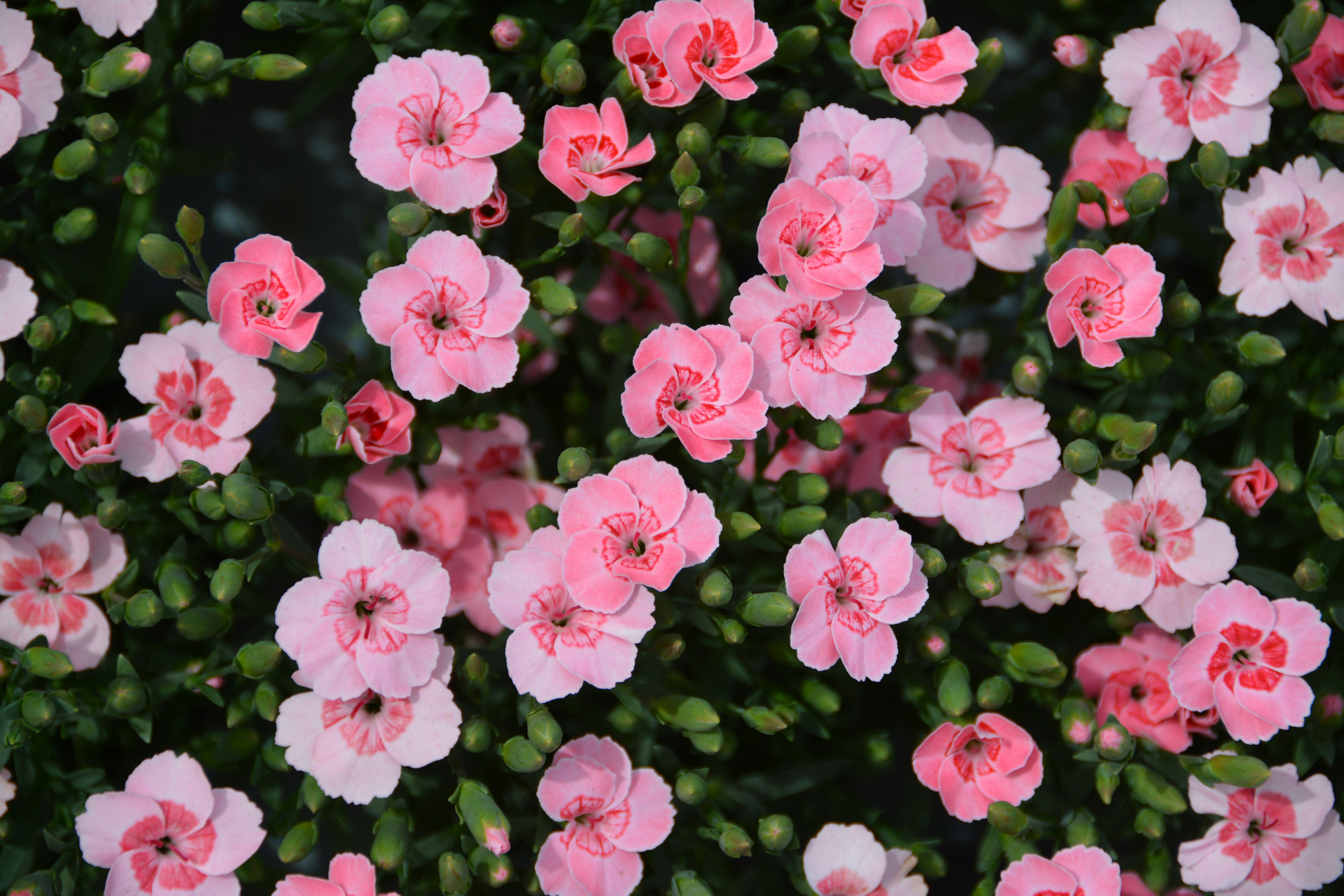 Photo by artististanbul