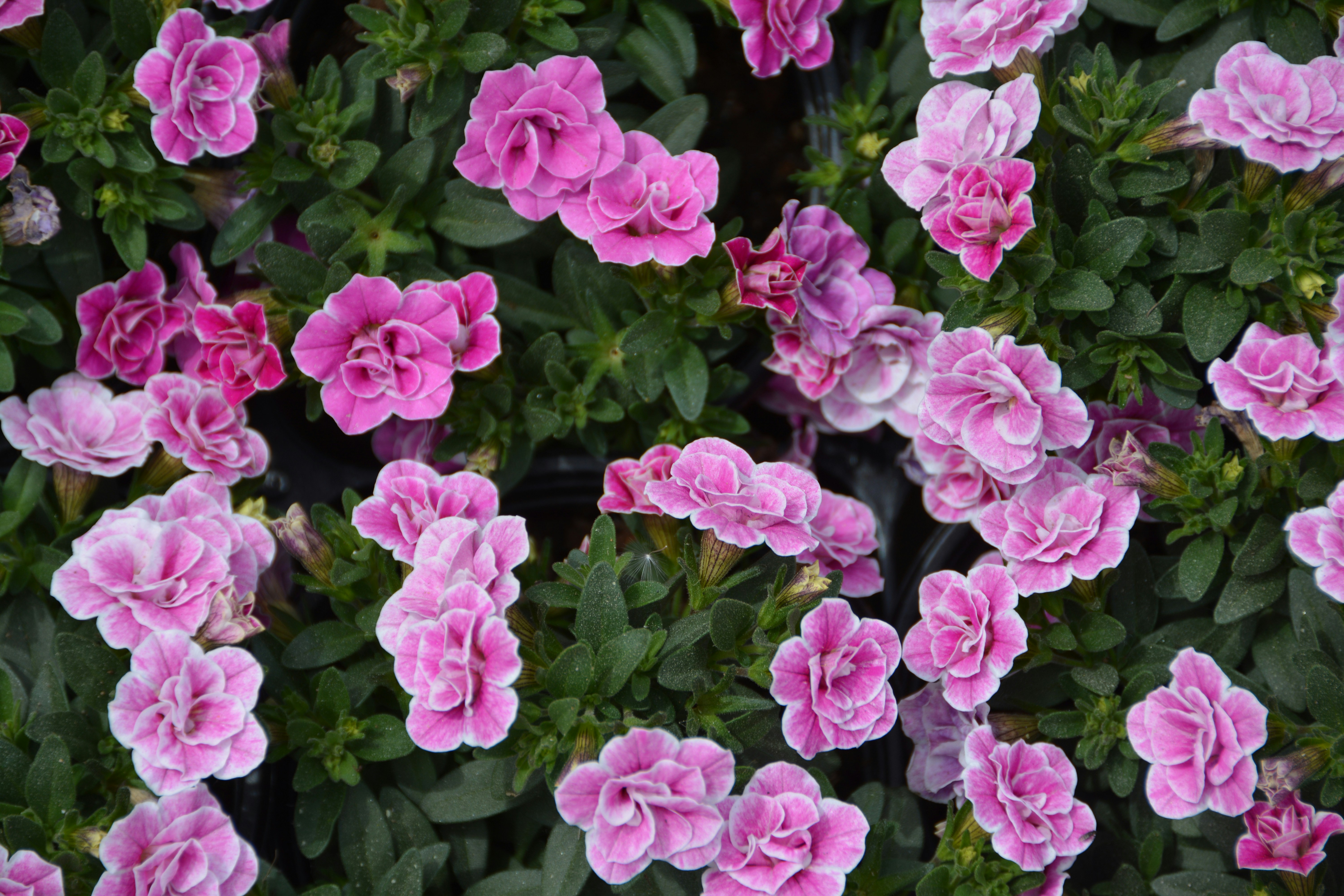 Photo by artististanbul