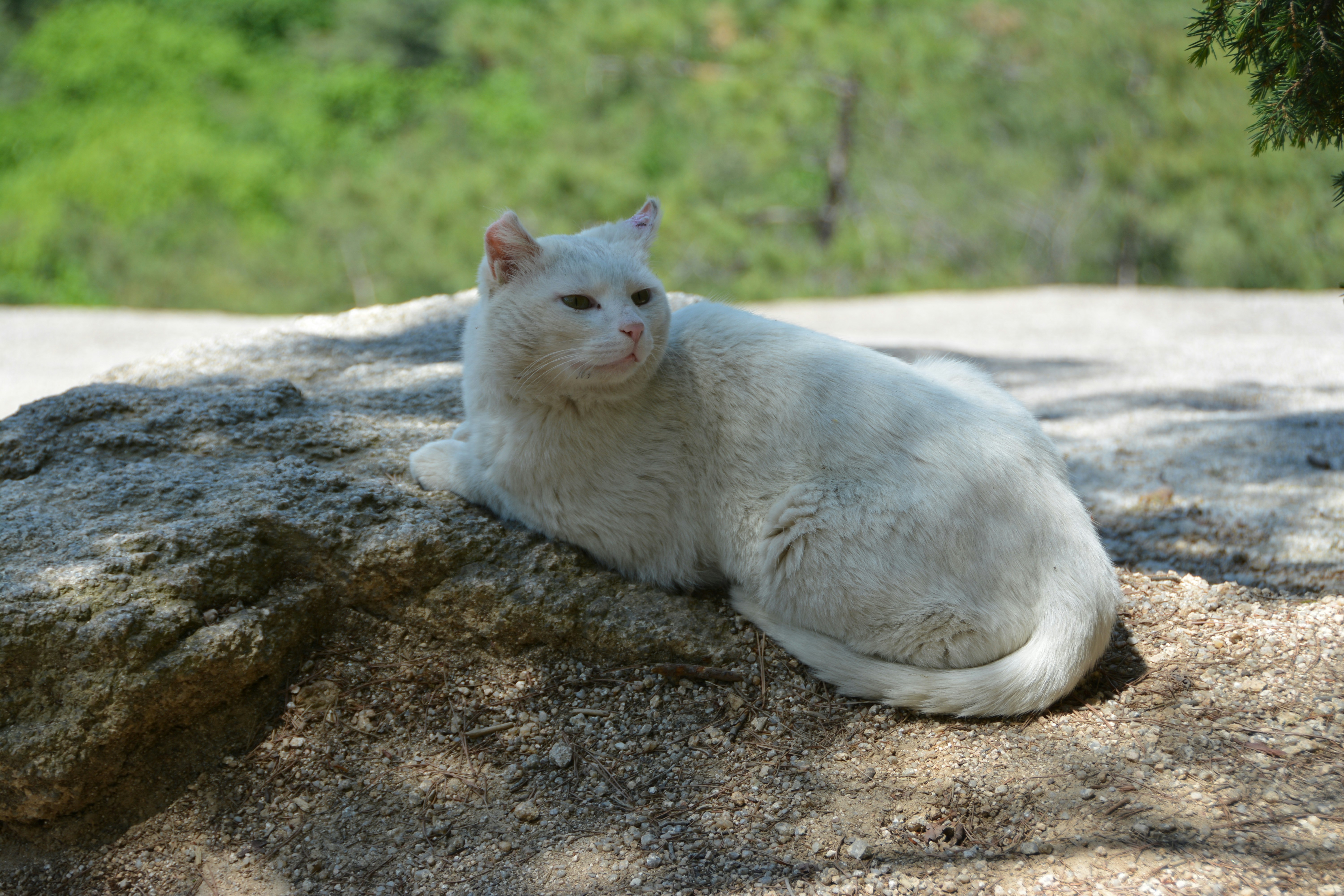 Photo by artististanbul