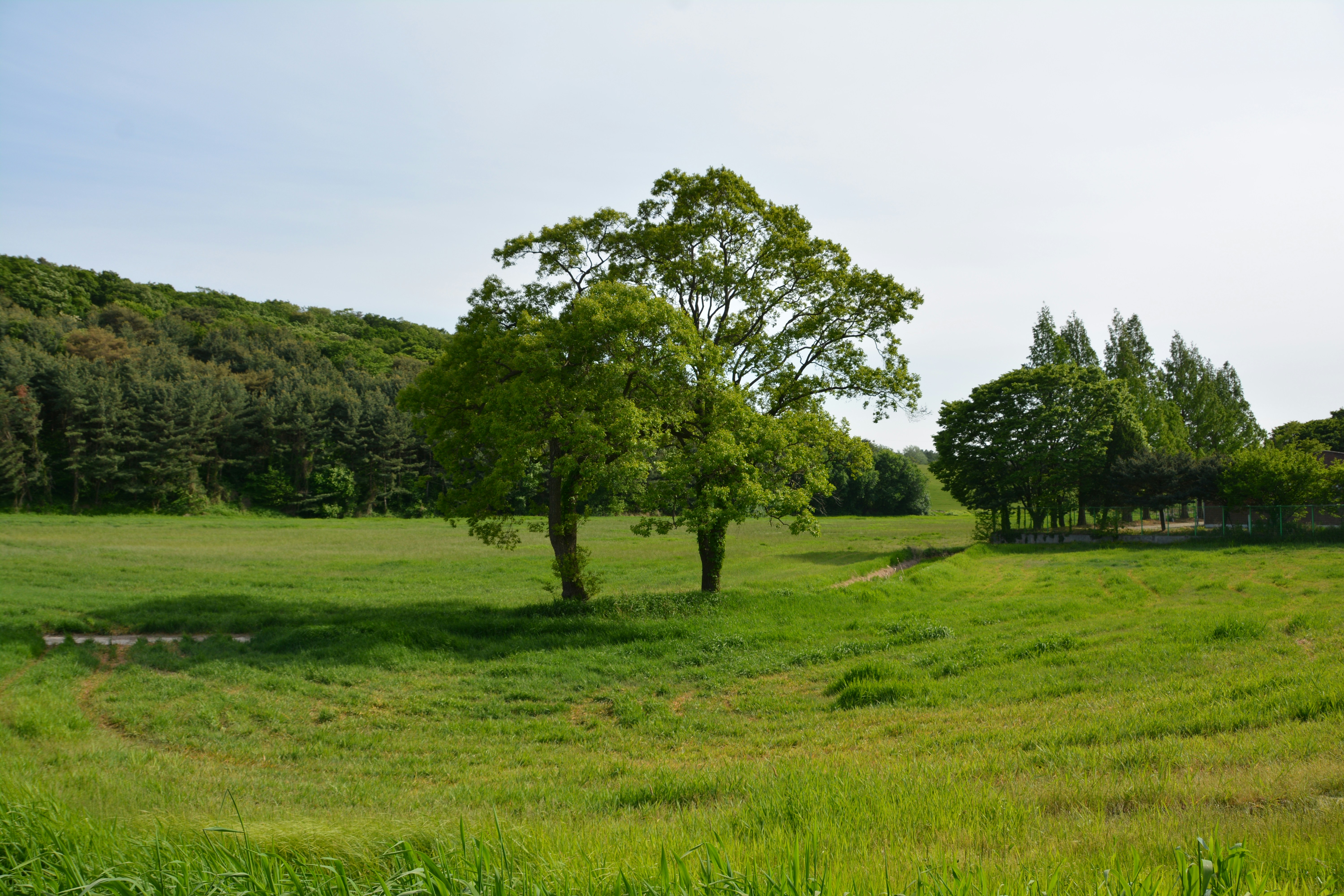 Photo by artististanbul