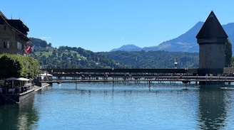 Scenic view of Lake Léman with walkers crossing a wooden bridge surrounded by greenery.