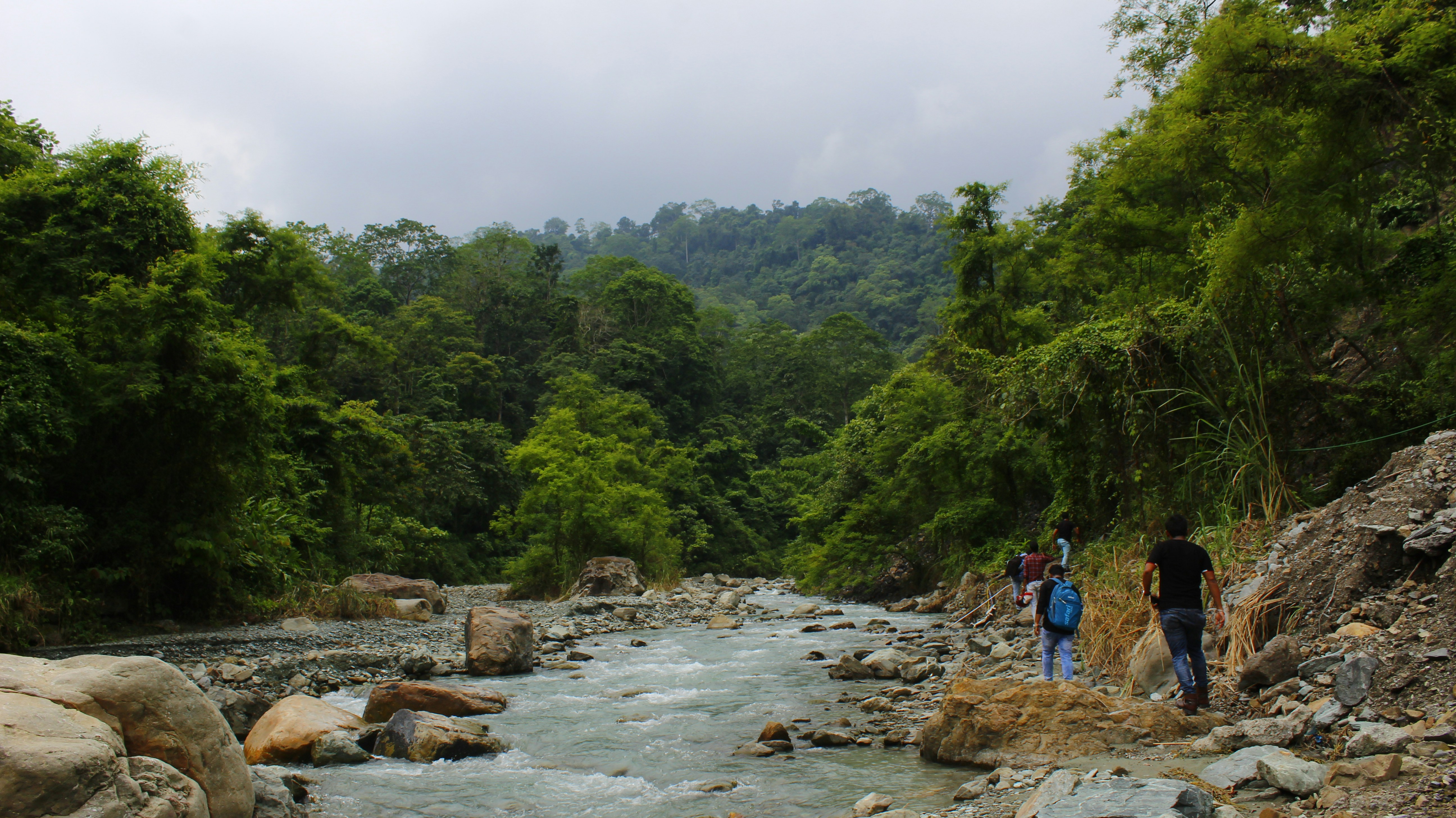 Photo by surajit_sarkar