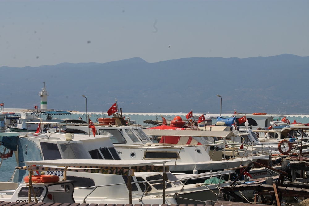 boats parked in a harbor