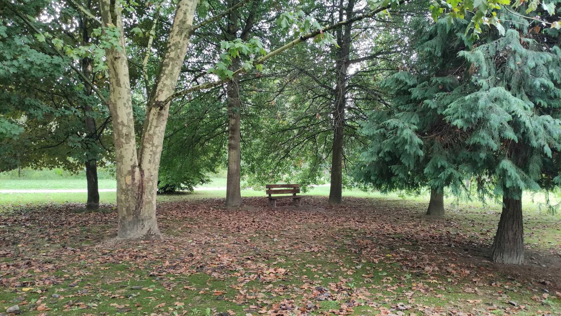 woman wearing yellow long-sleeved dress under white clouds and blue sky during daytime