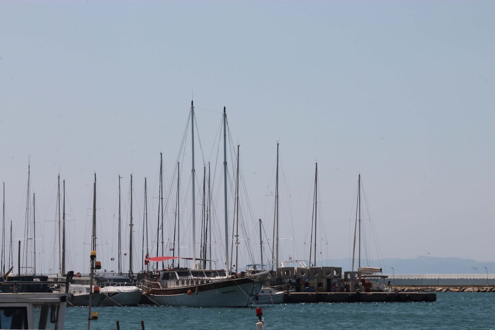 a group of boats in a harbor