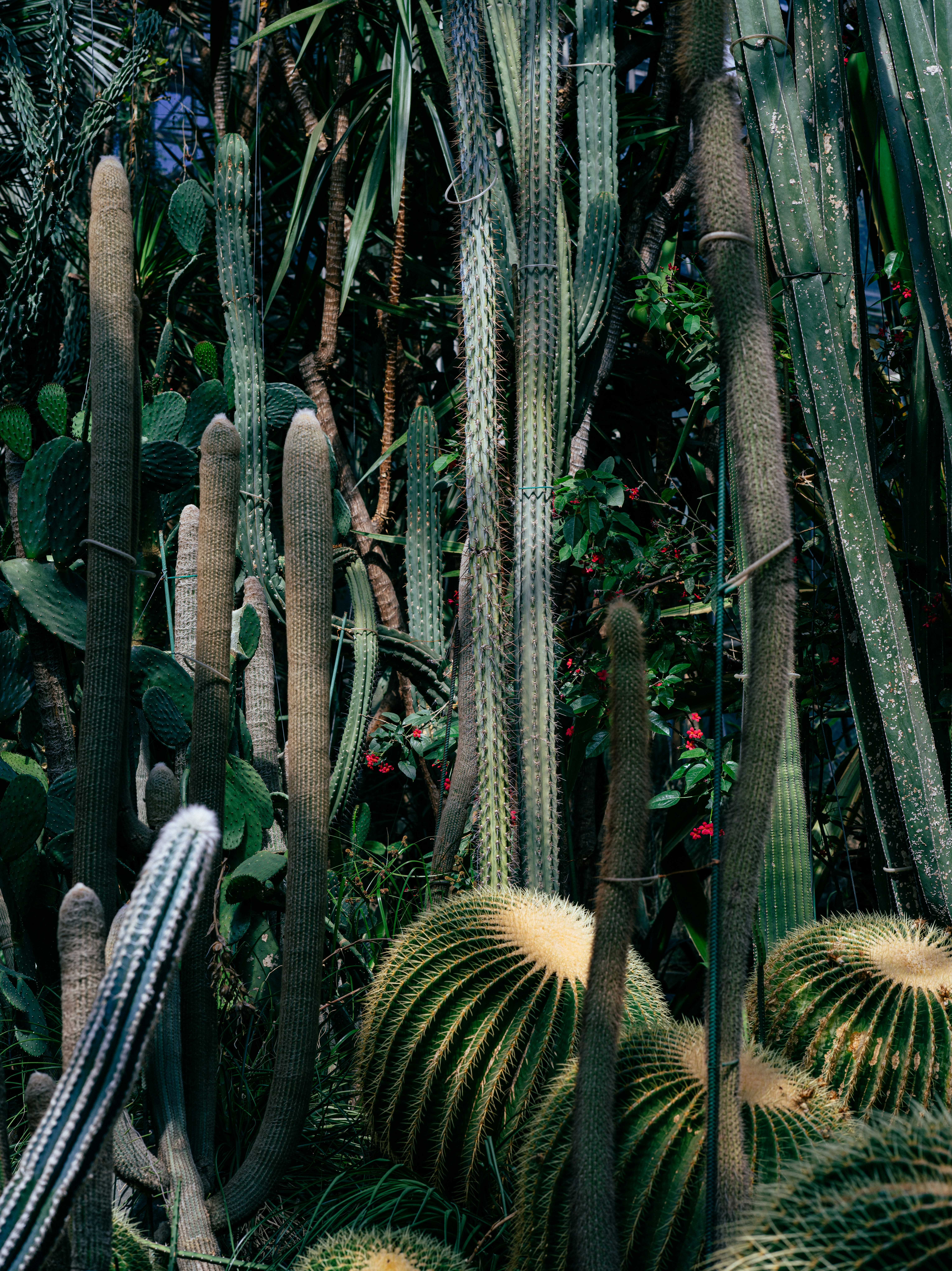 Photo by egorkomarov