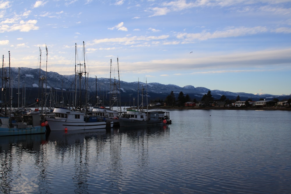 a group of boats sit in a harbor