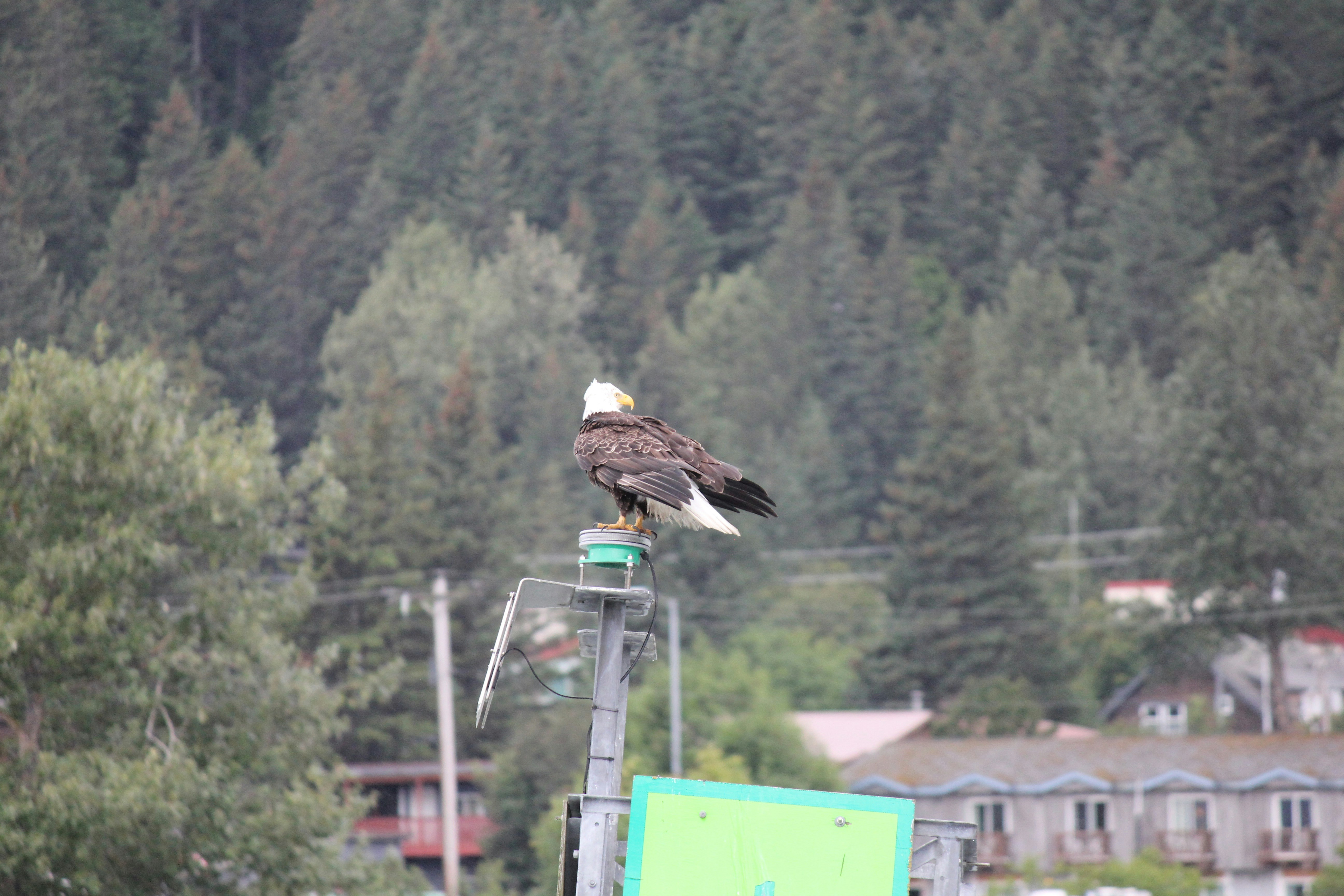 ION Anchorage Slide 1