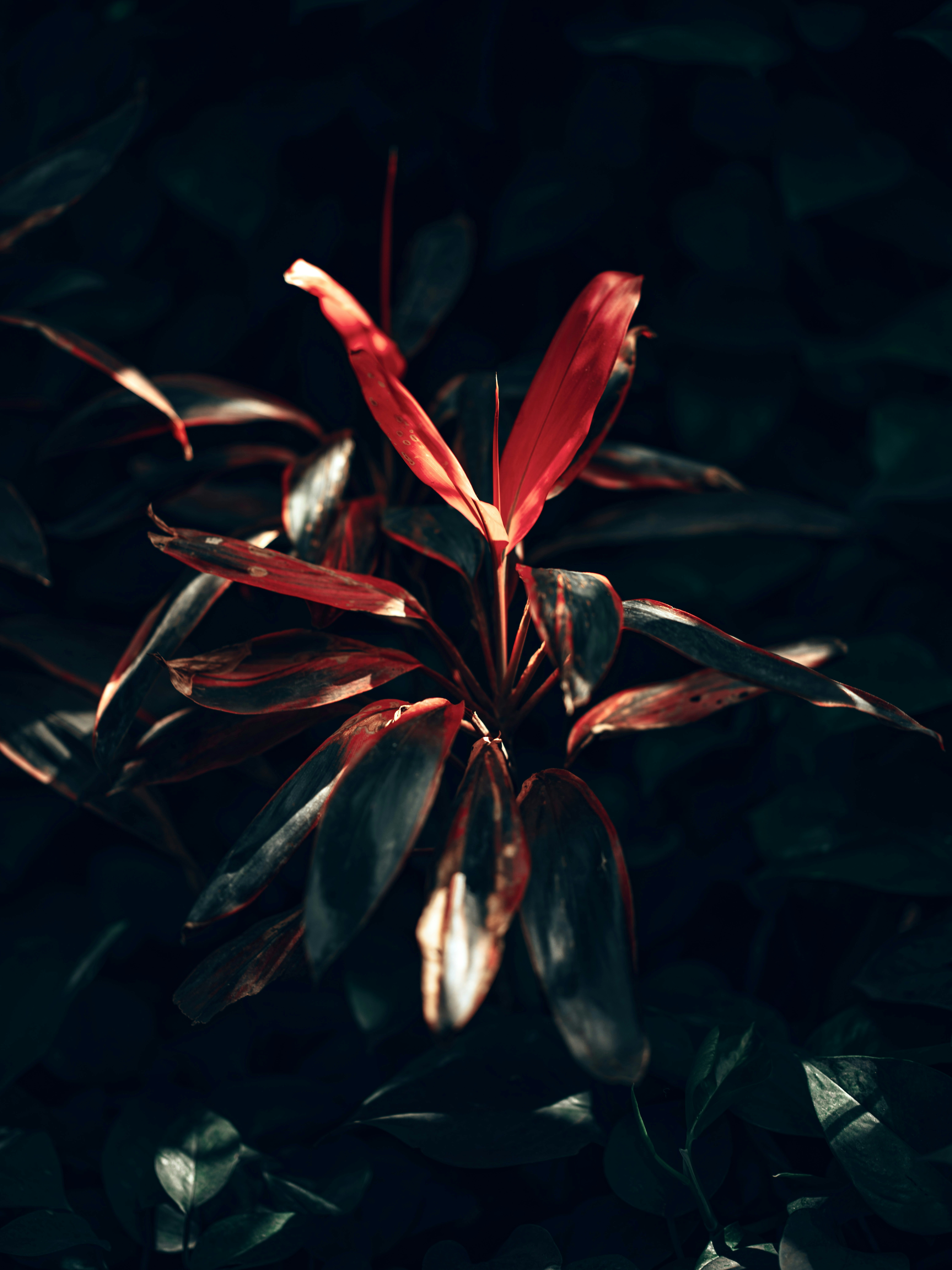 Photo by egorkomarov