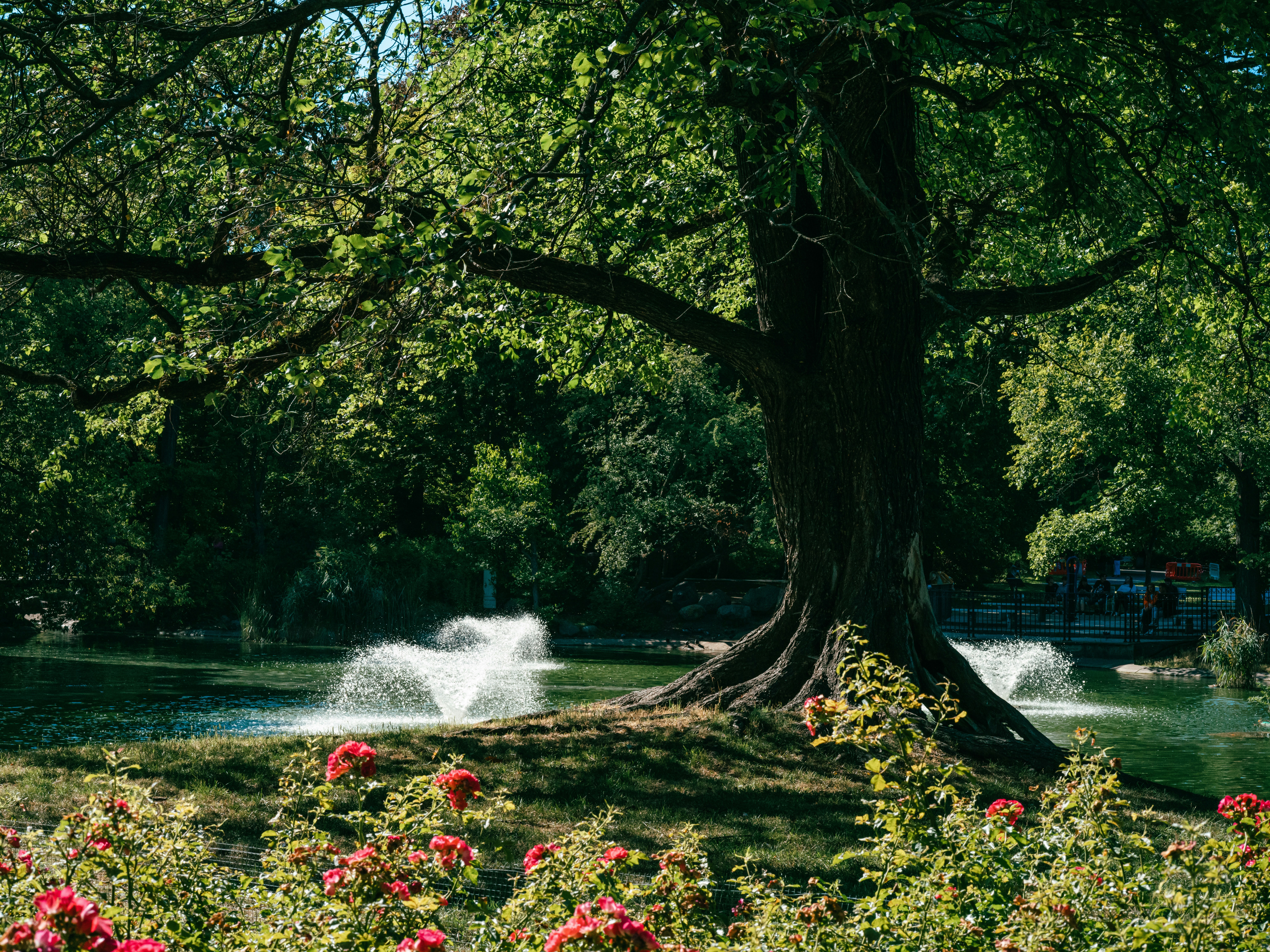 Photo by egorkomarov