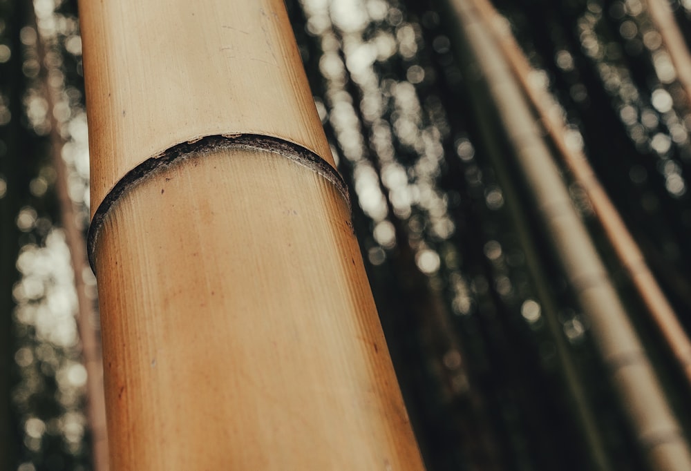 a close up of a wooden cutting board