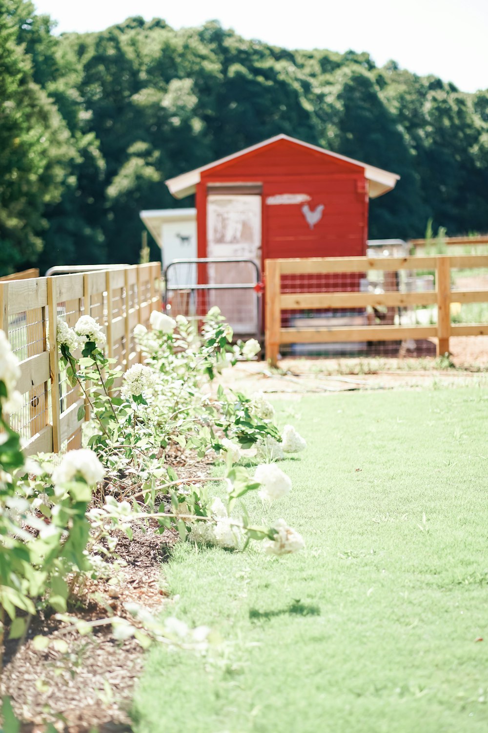 a small red shed in a yard