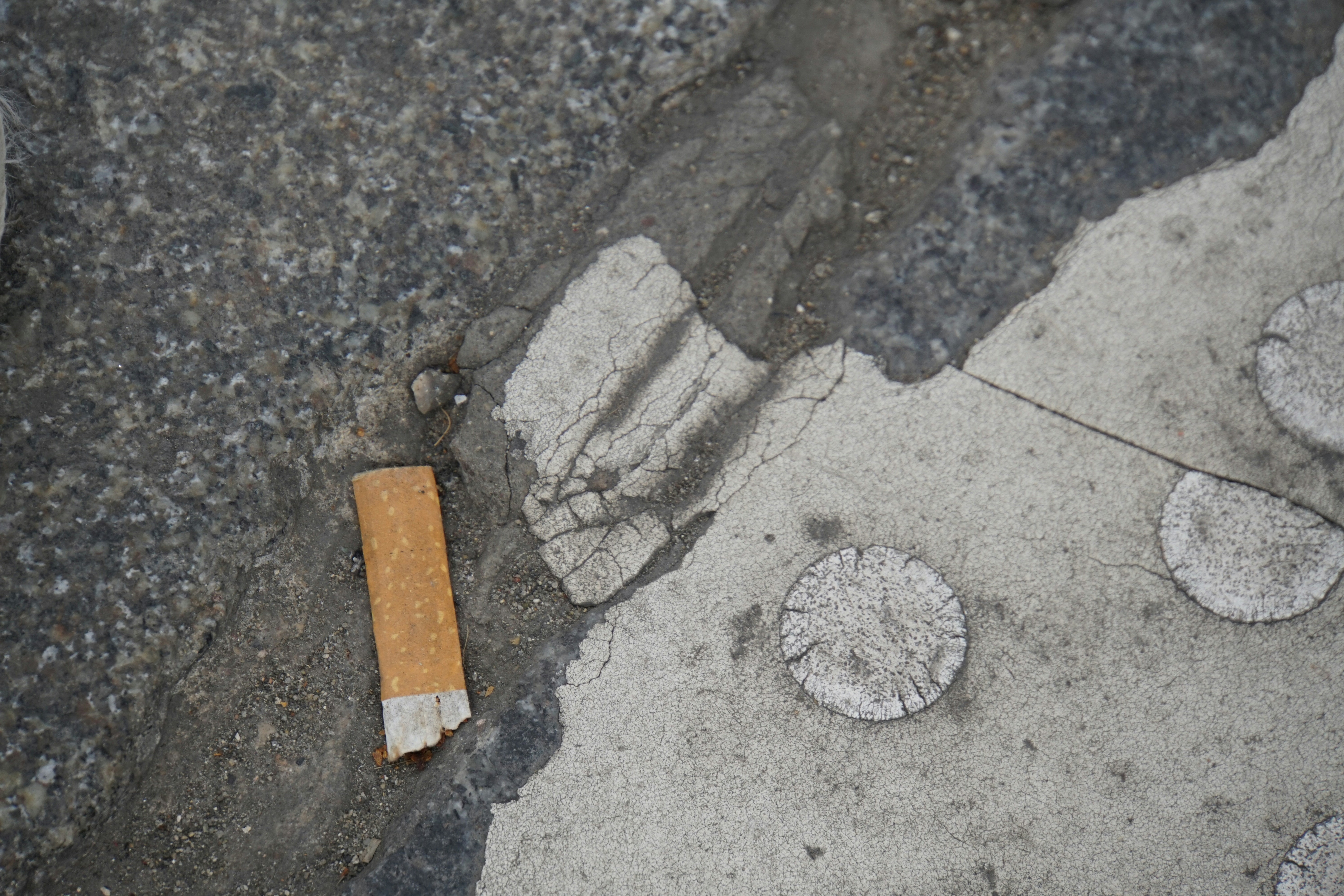 The Bastards Killed Jerry!