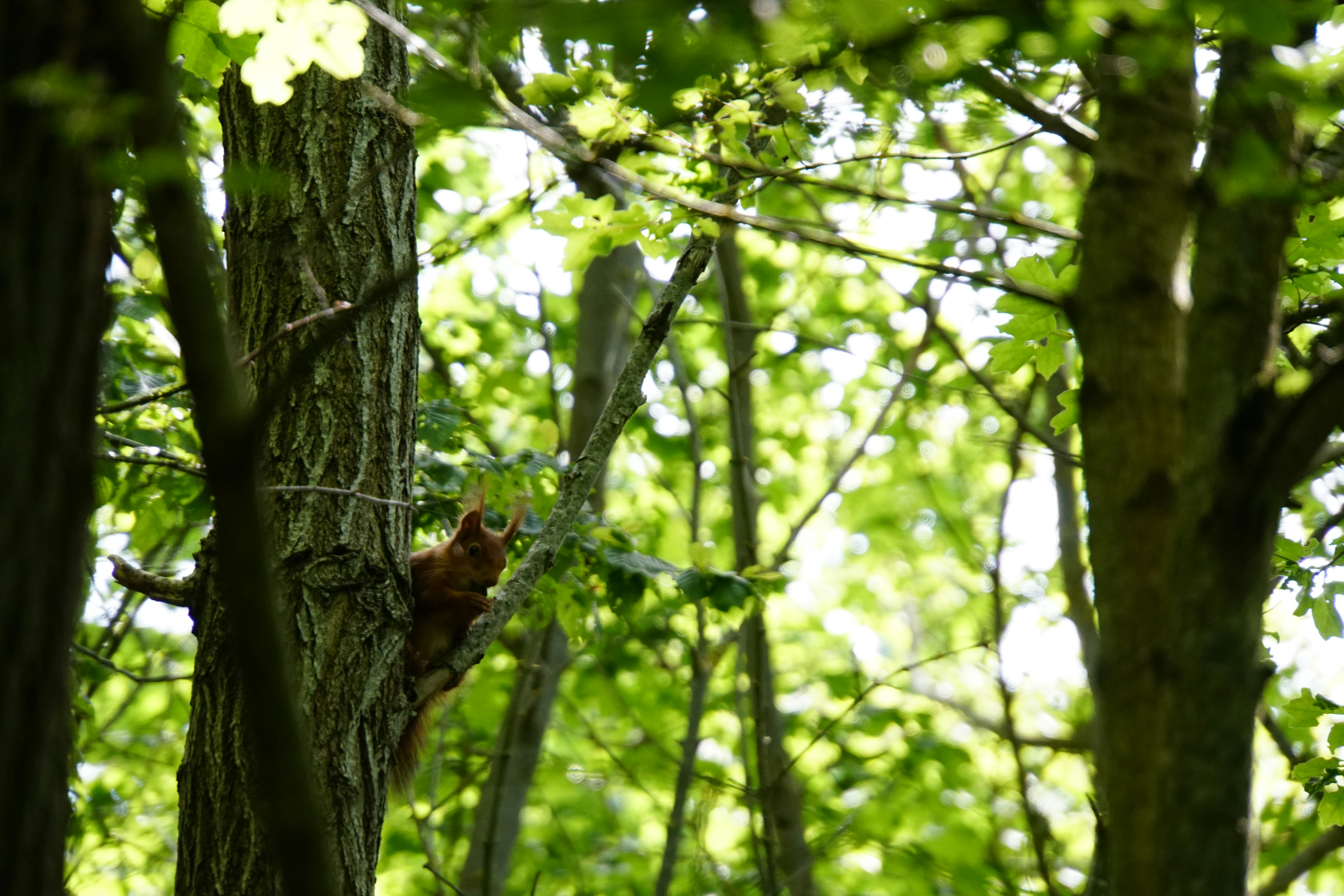 Photo by jan_zinnbauer