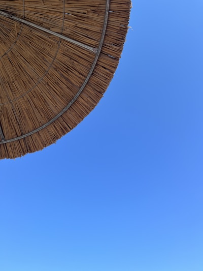 A thatched roof umbrella partially covers the upper left corner of the frame against a clear blue sky.