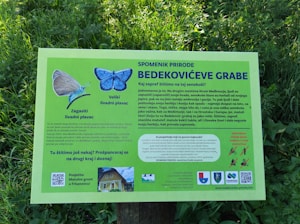 A green informational sign on a grassy field with detailed text about Bedekovićeve Grabe, a nature area. It features illustrations of a butterfly species, the 'zagasti livadni plavac' and the 'veliki livadni plavac'. The sign includes several logos at the bottom and a photo of a building. It also contains a QR code and warnings about banned quad and cross motor vehicles.