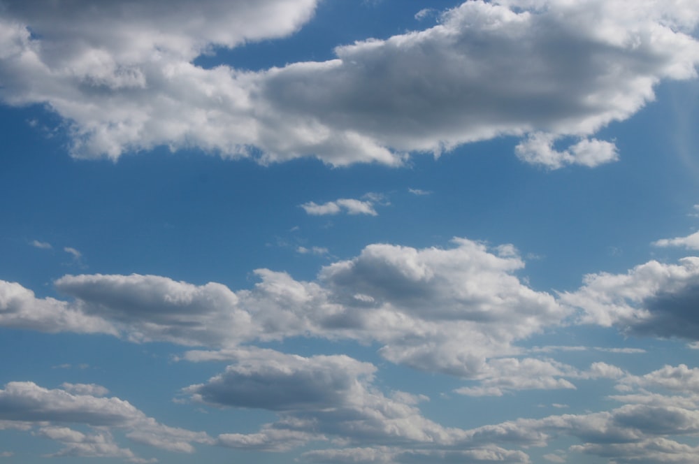 blue sky with white clouds