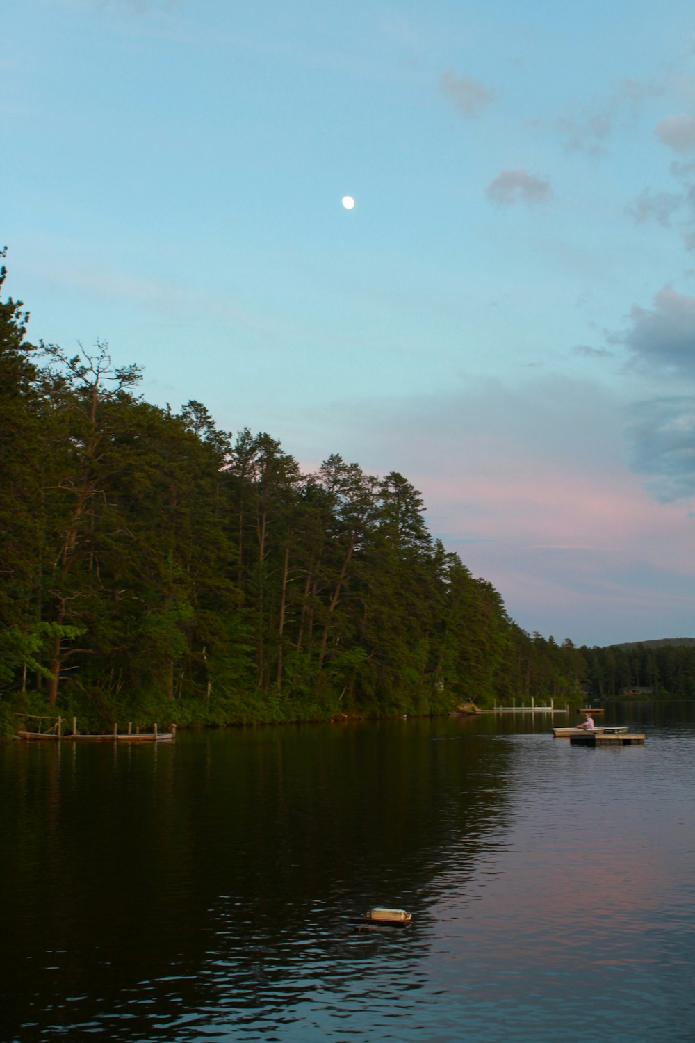 a body of water with trees around it and a boat in it