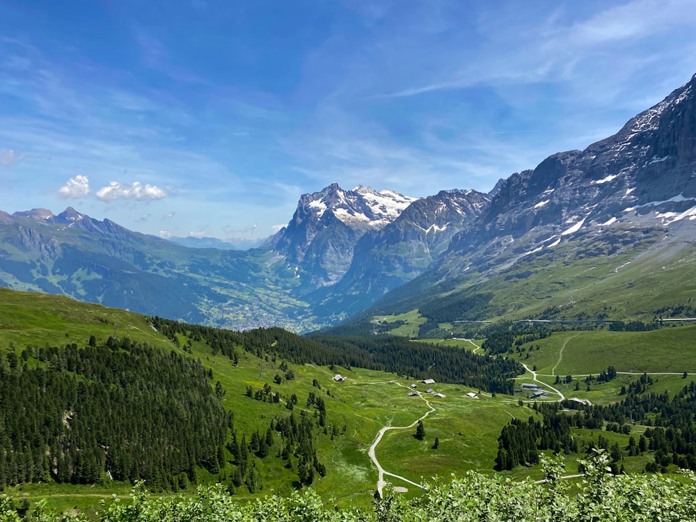 a valley with mountains in the background