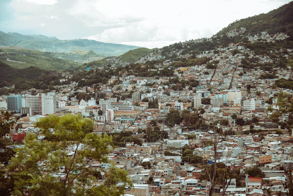 a city with trees and mountains in the background