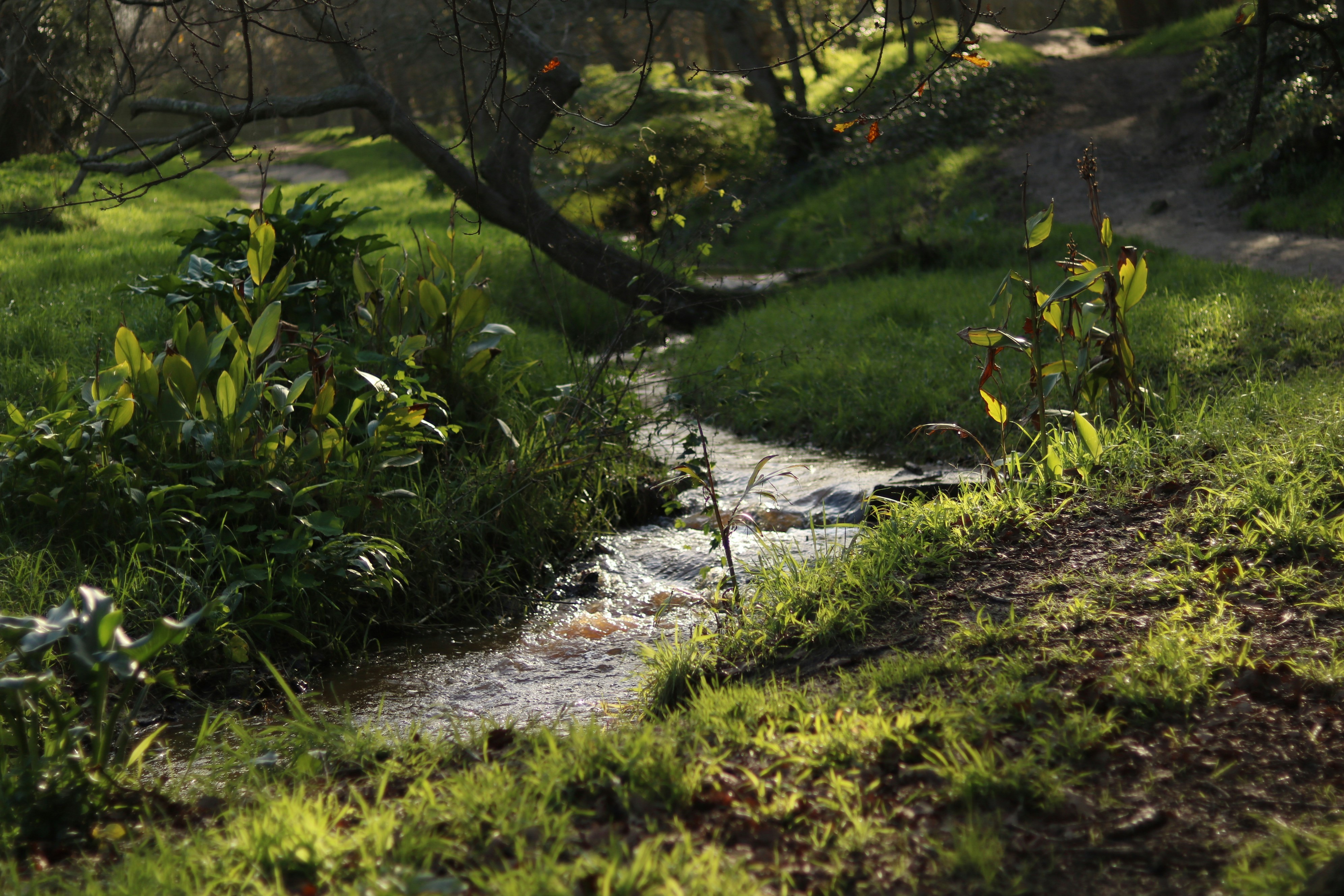 Photo by allysphotos