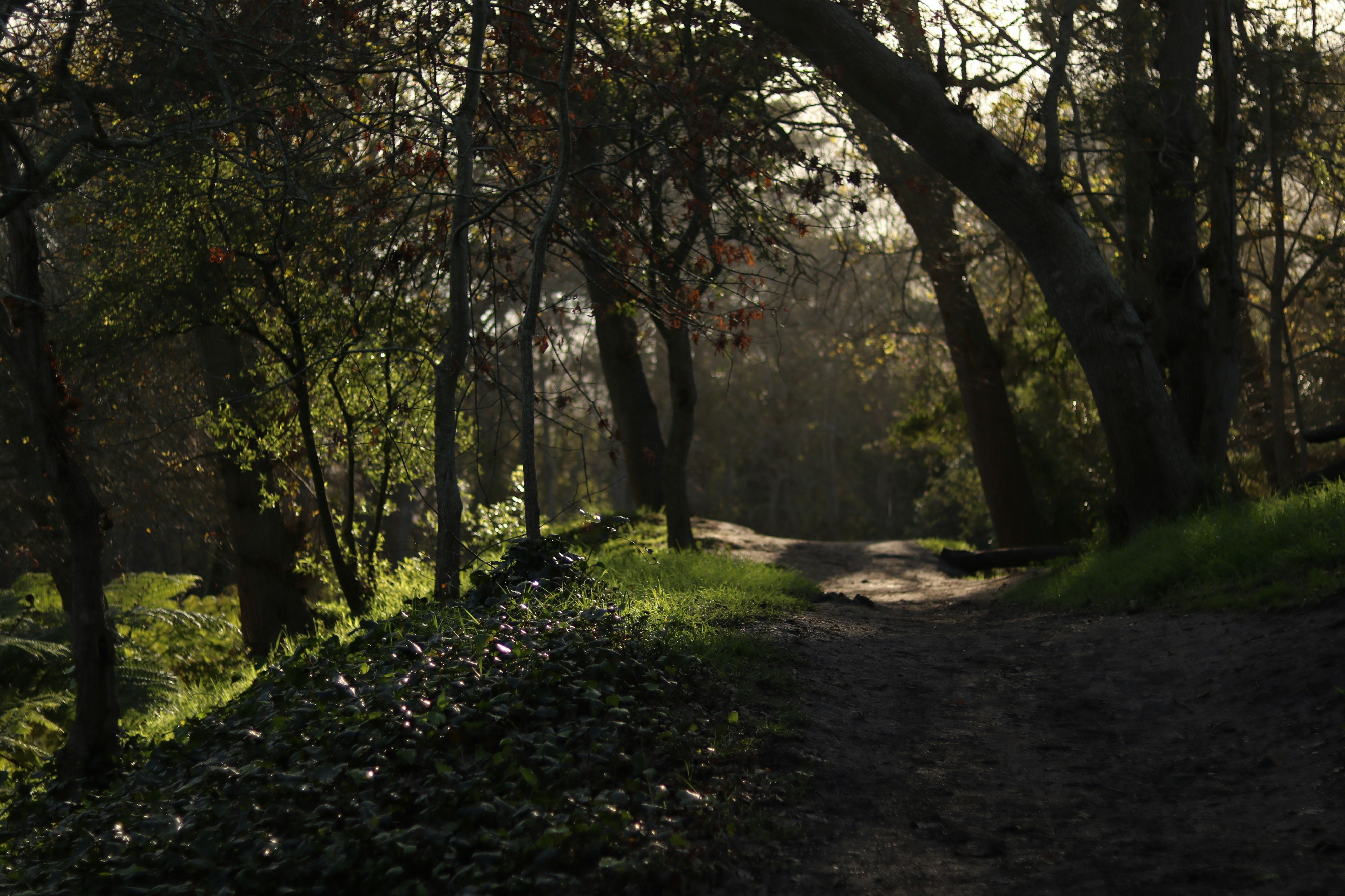 Photo by allysphotos