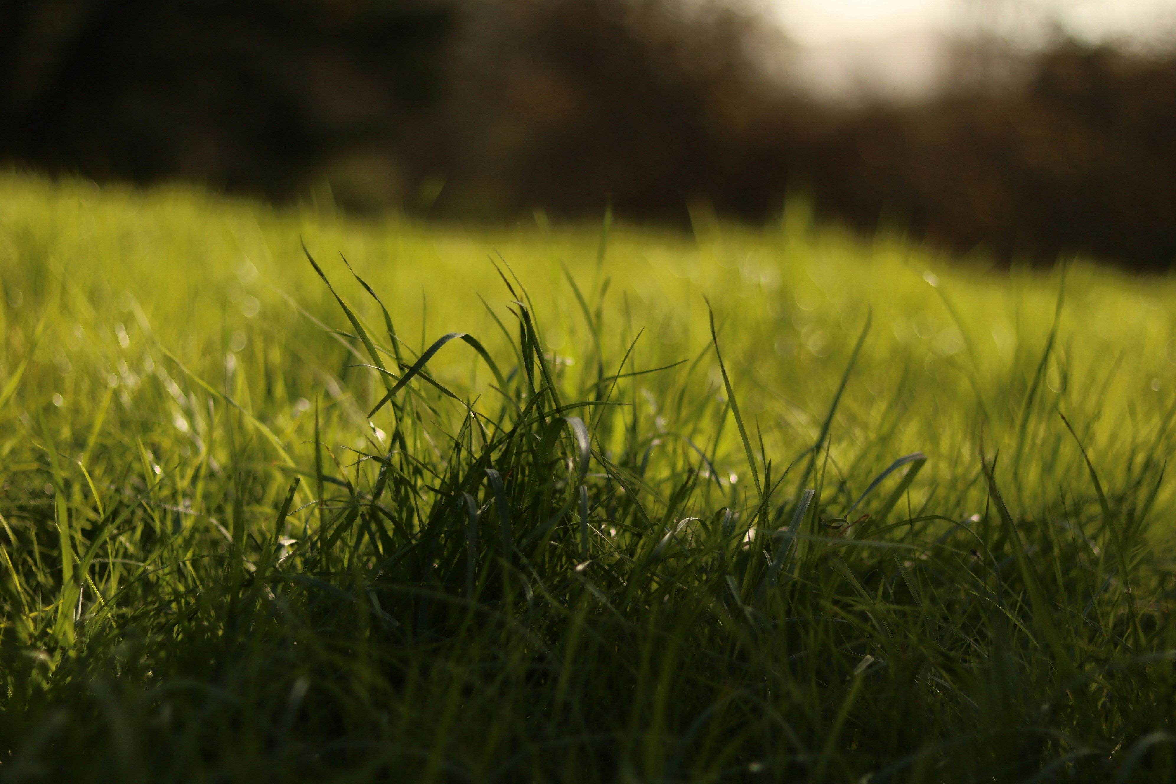 Photo by allysphotos