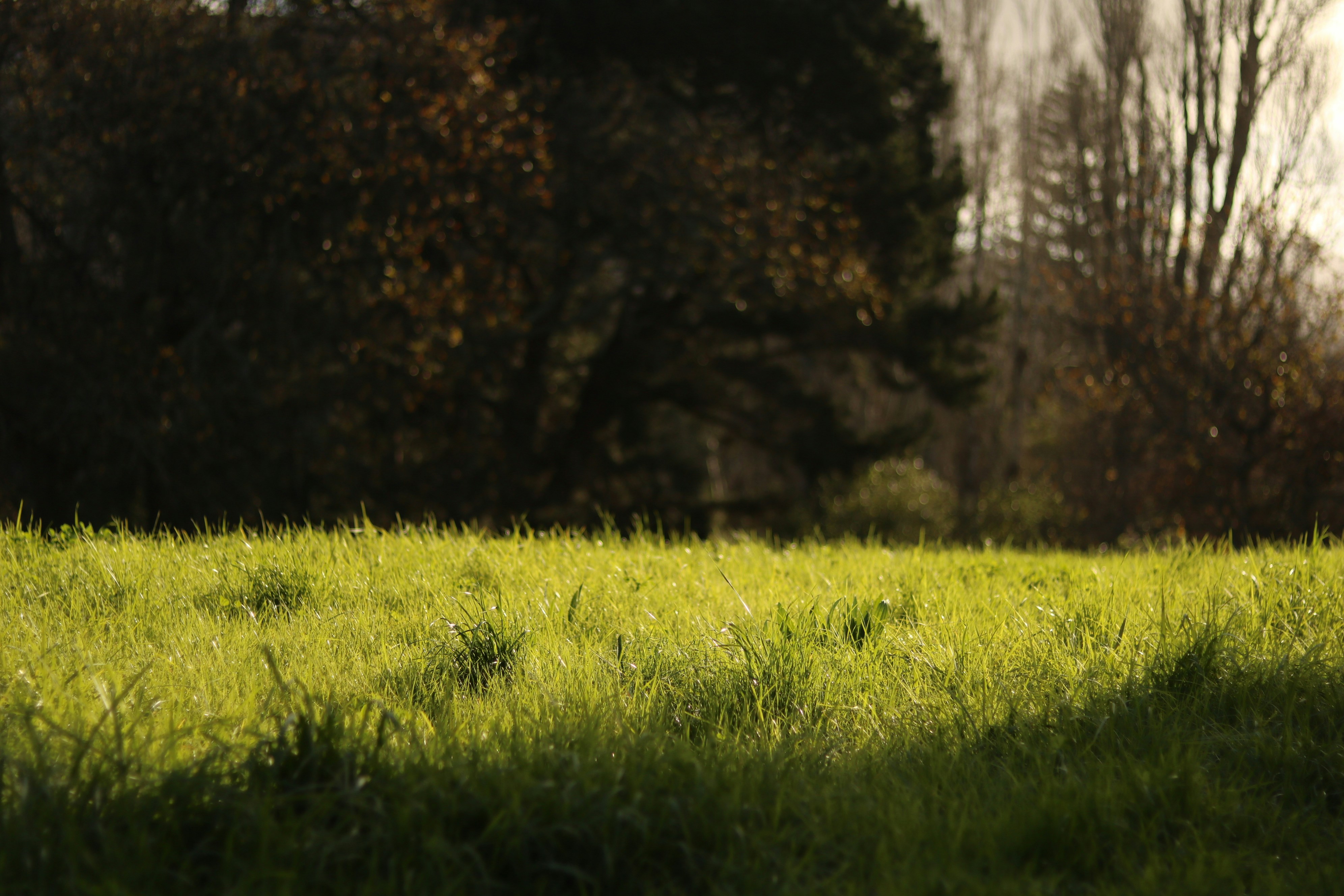 Photo by allysphotos