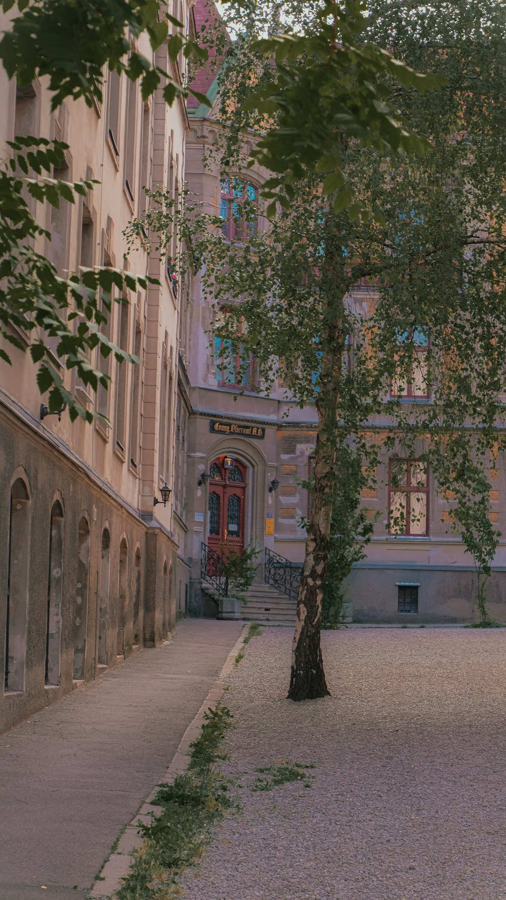 a tree in front of a building