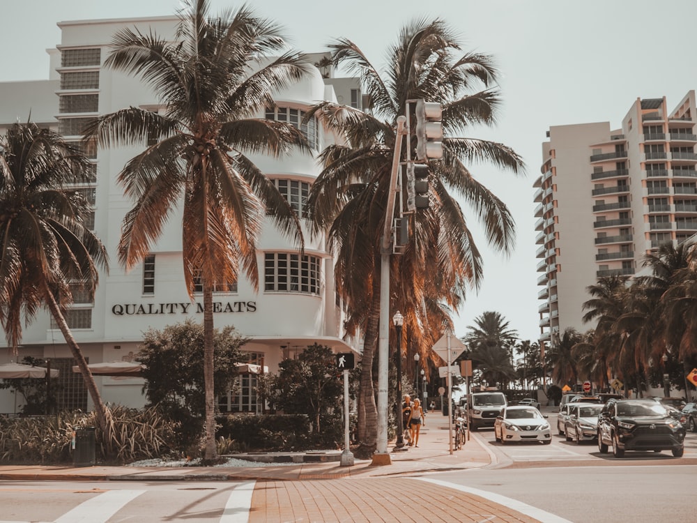 a street with palm trees and buildings