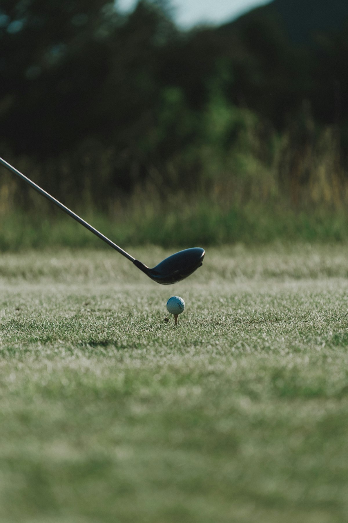 The Mini Driver: The Club Quietly Replacing the Three-Wood