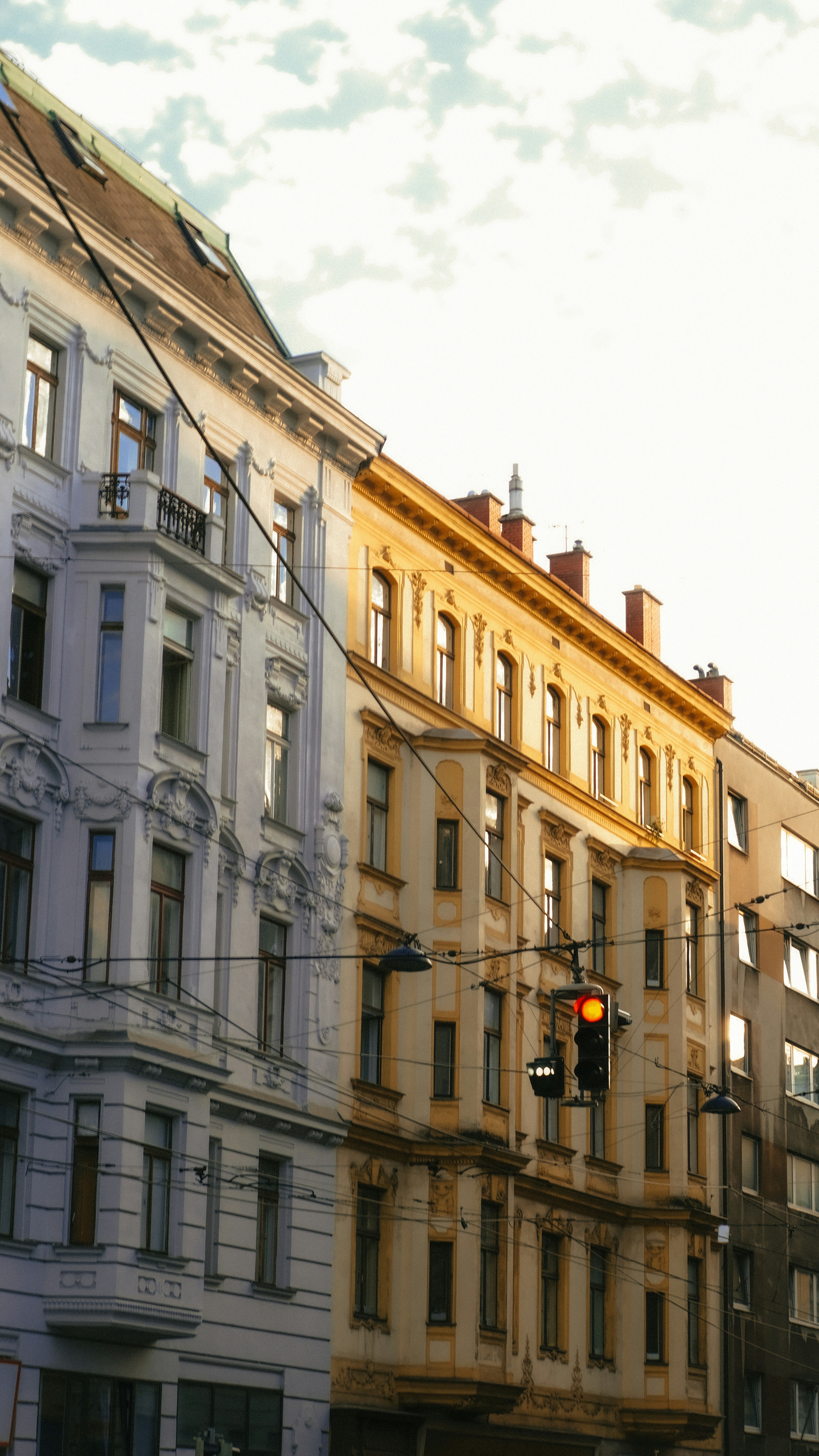 Photo by kmondschein