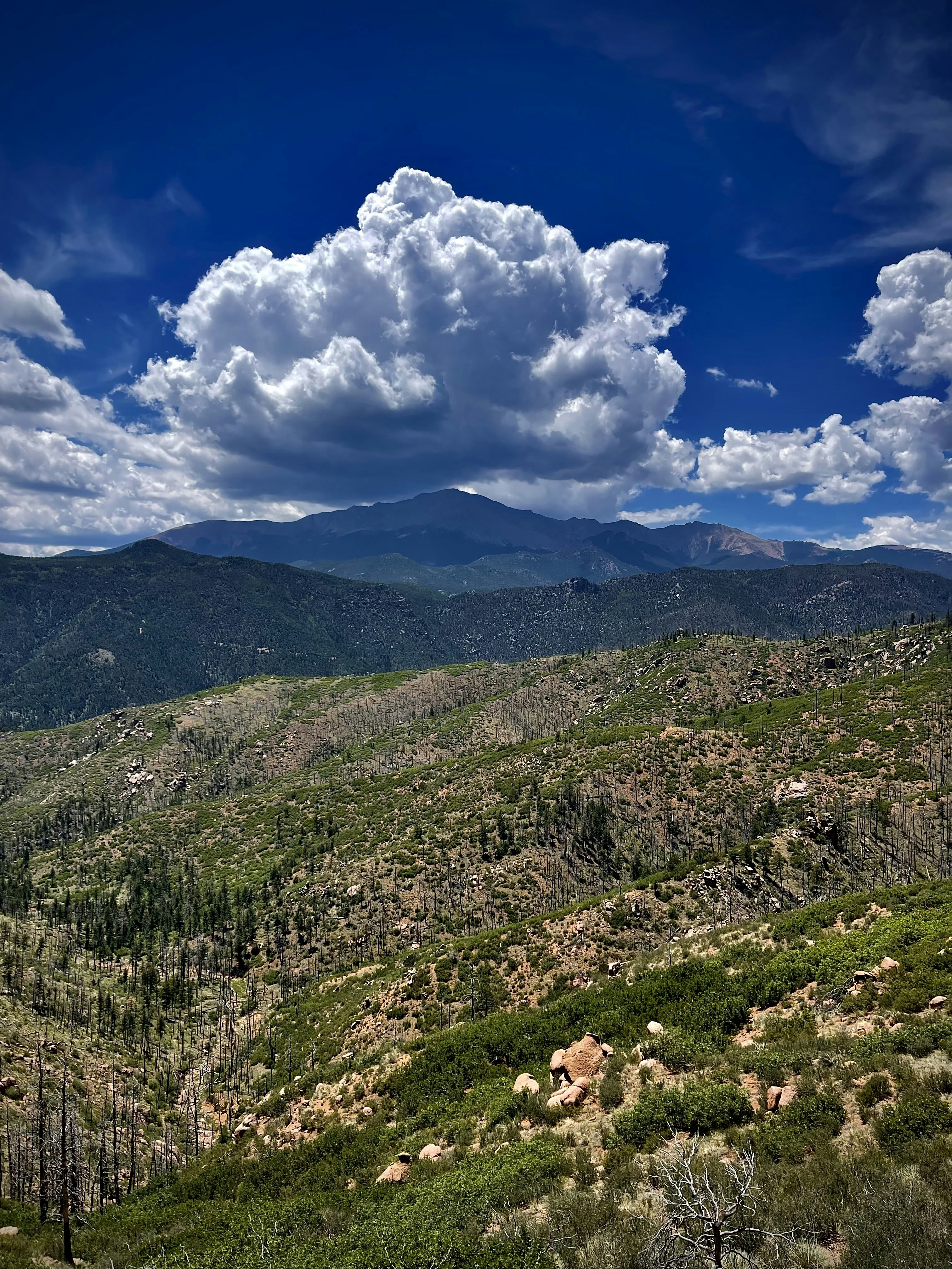 Photo by laitonbarbo