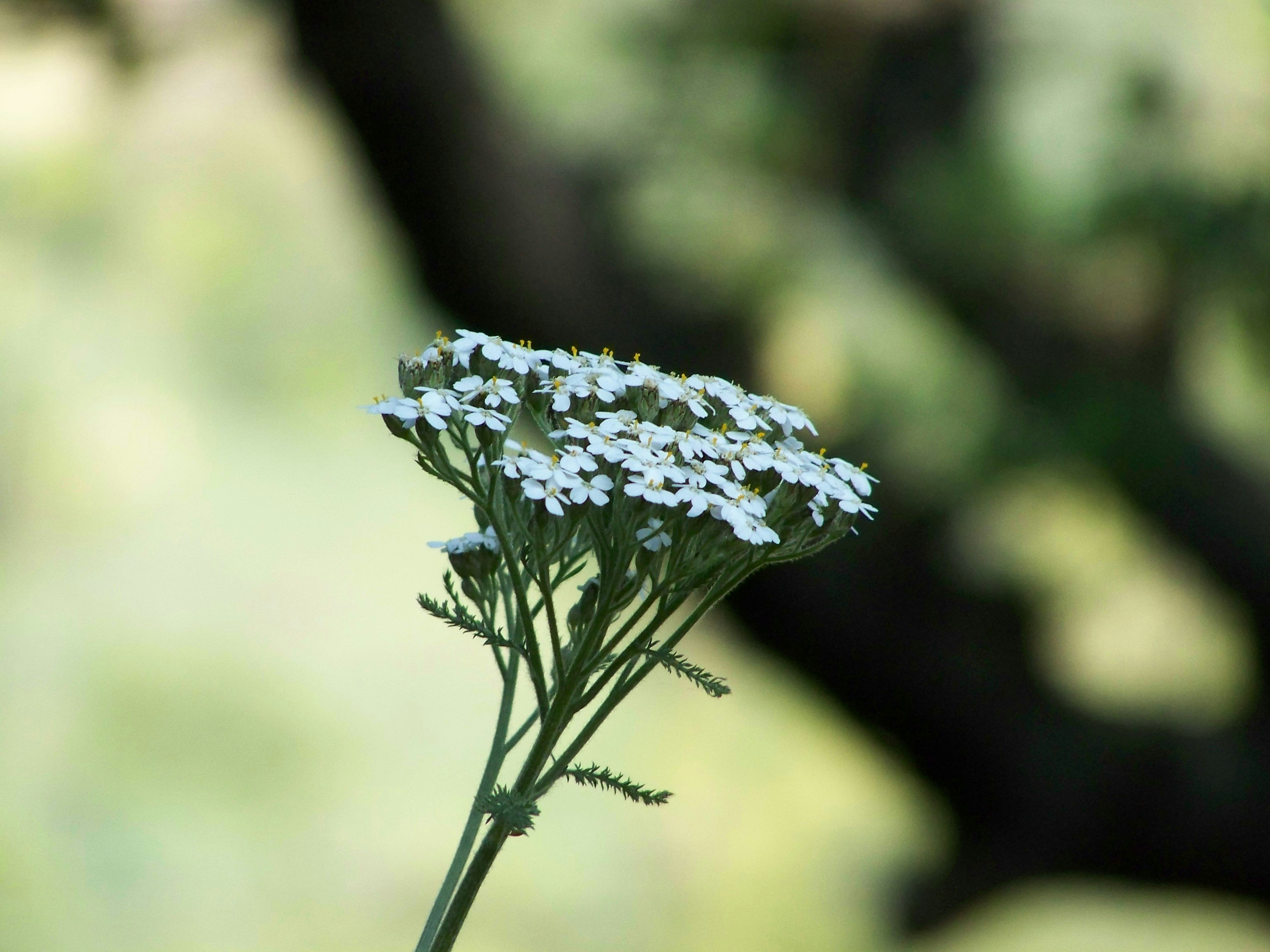 Photo by waspentalive