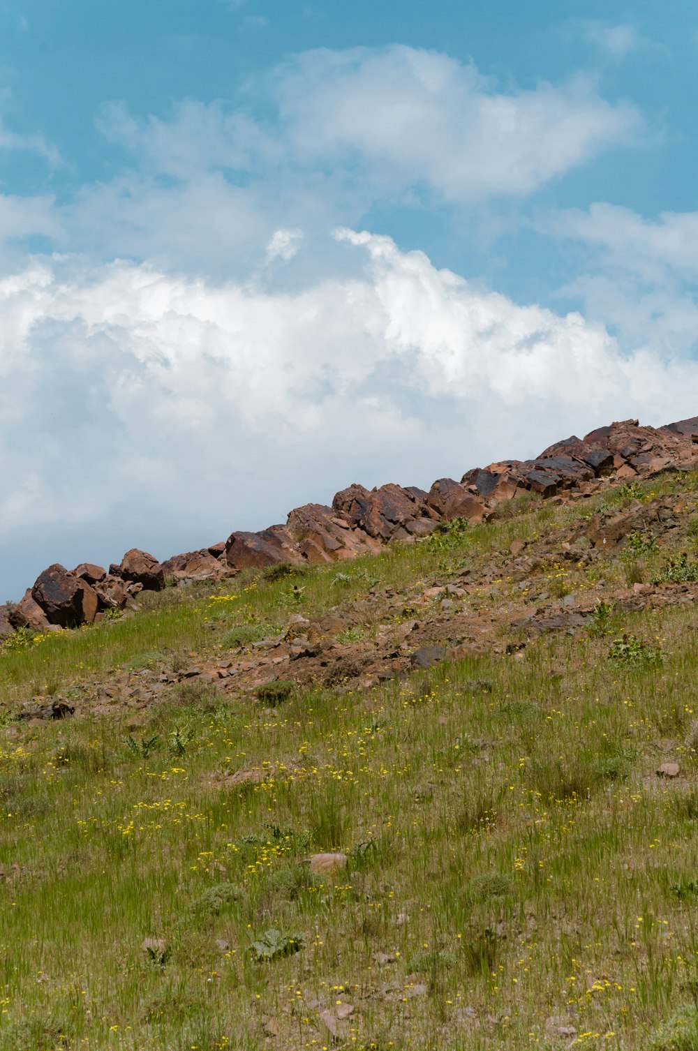 a grassy hill with rocks and a cloudy sky